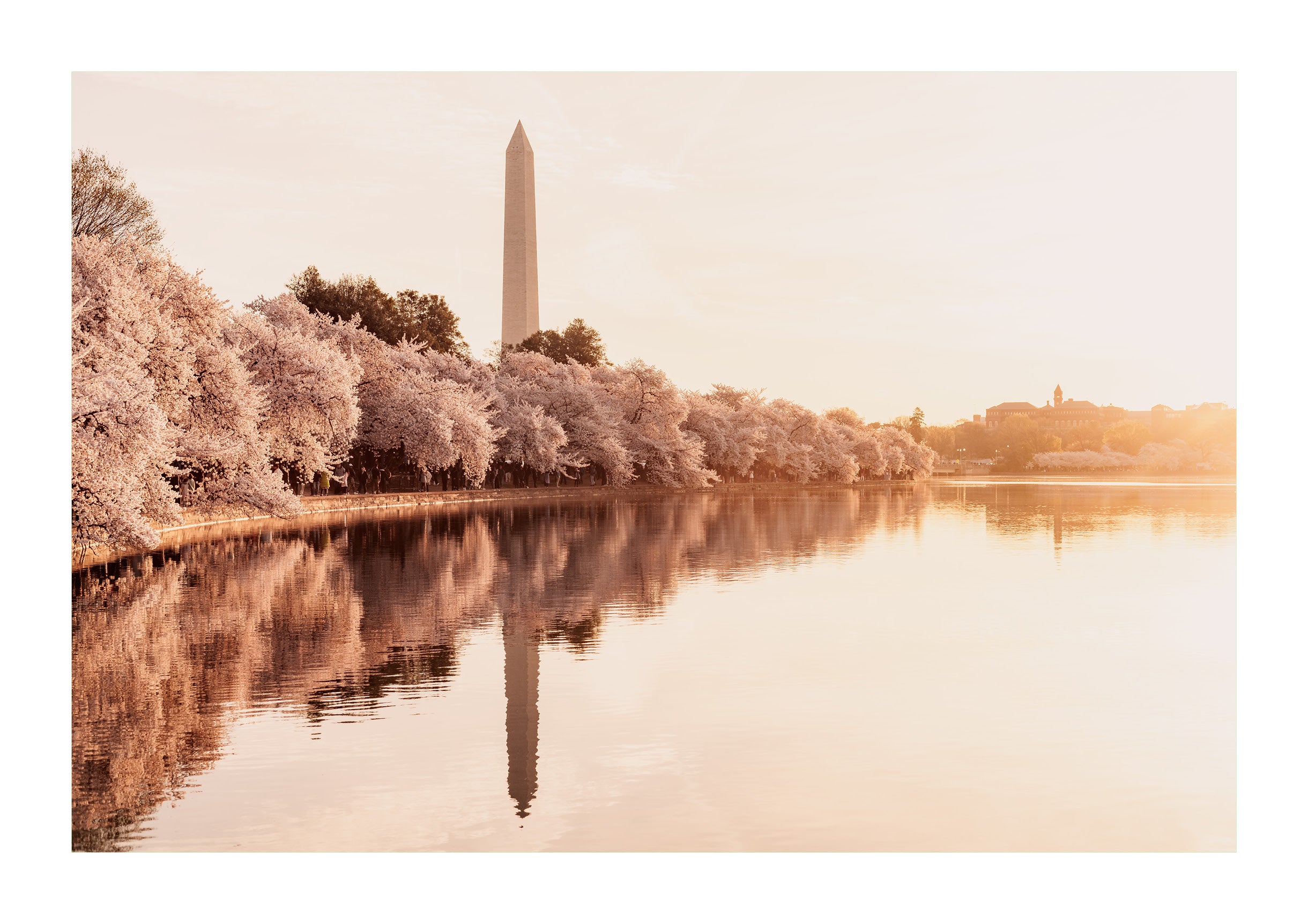 Dawn Reflections