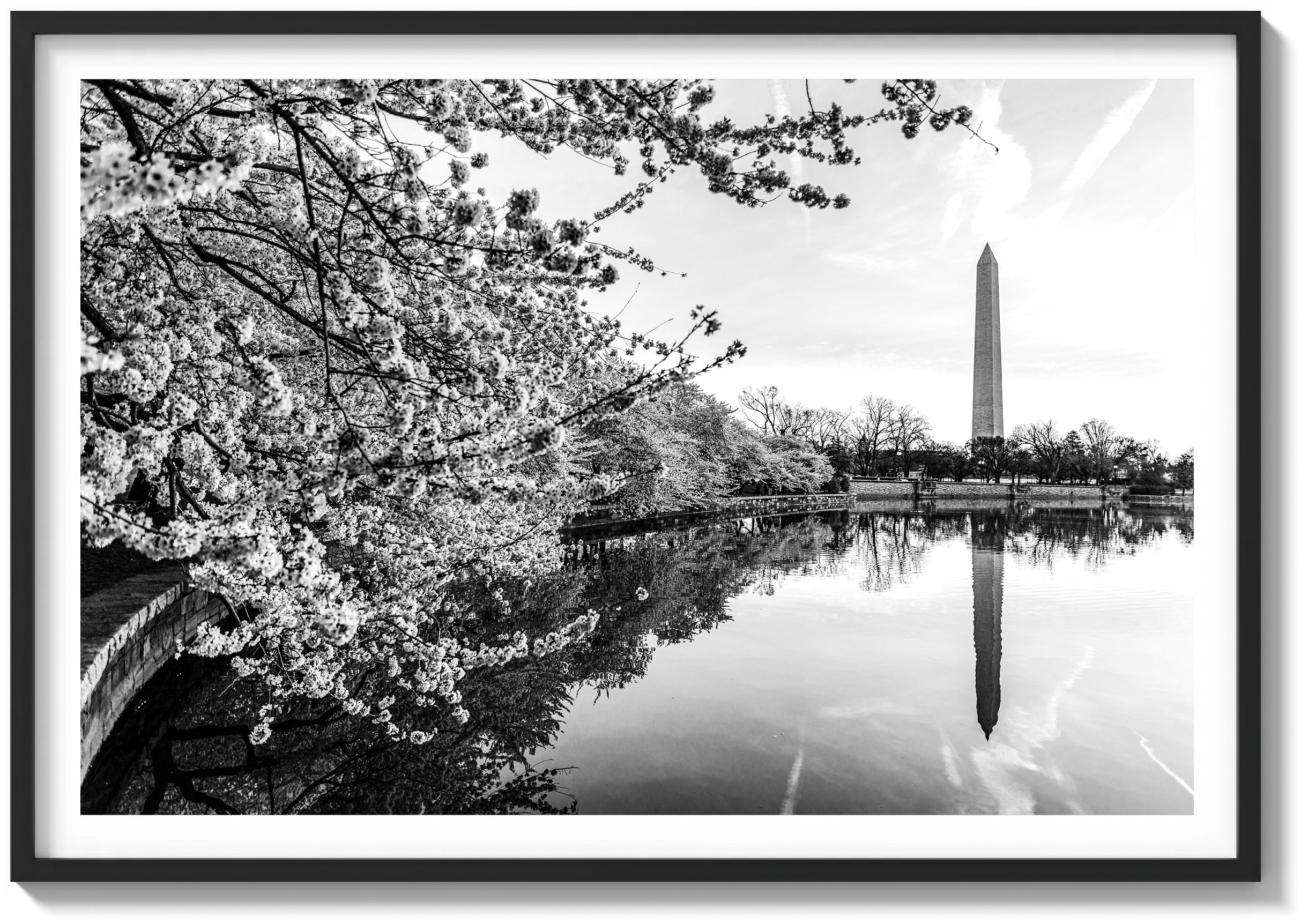 Springtime Bloom