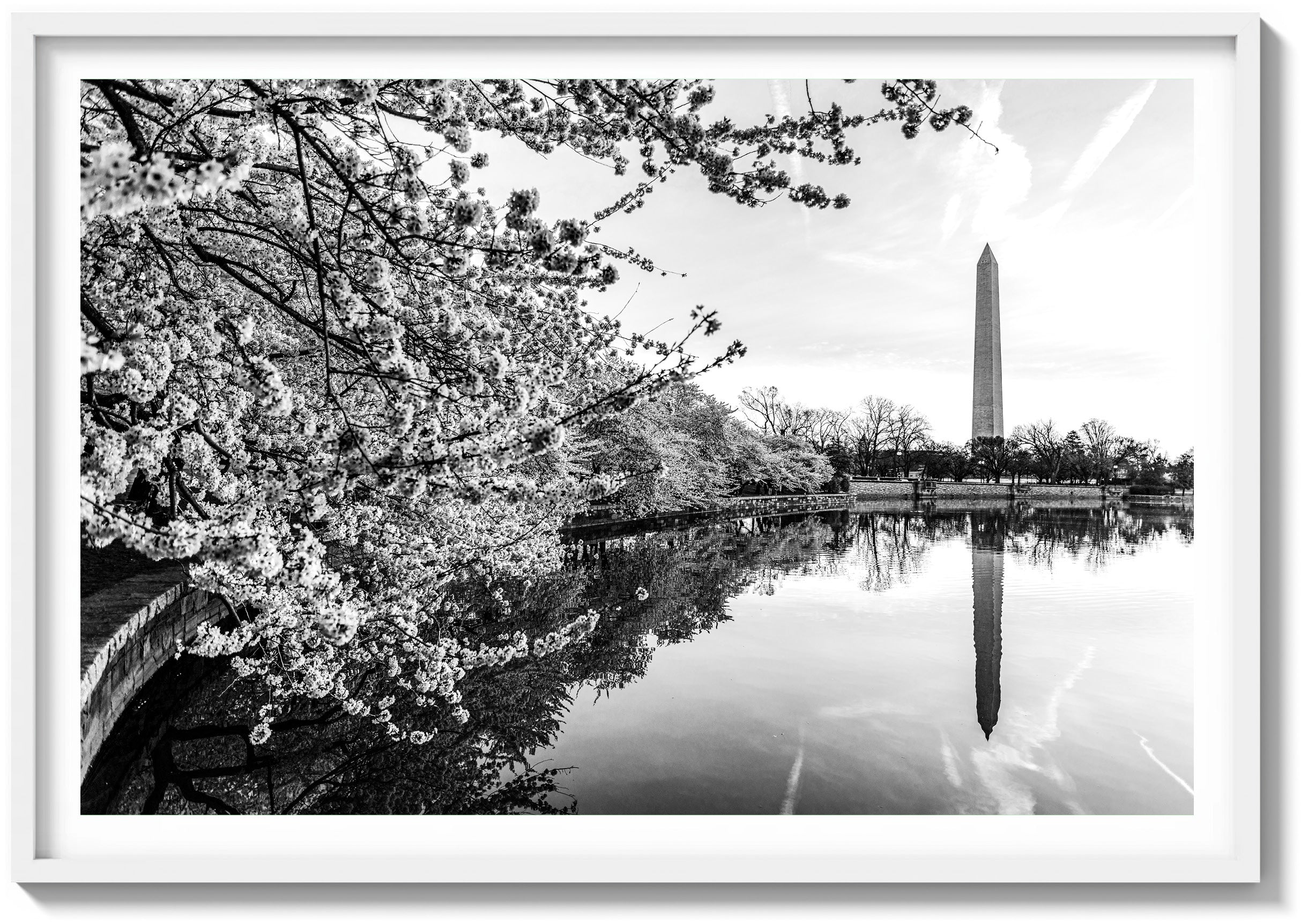 Springtime Bloom