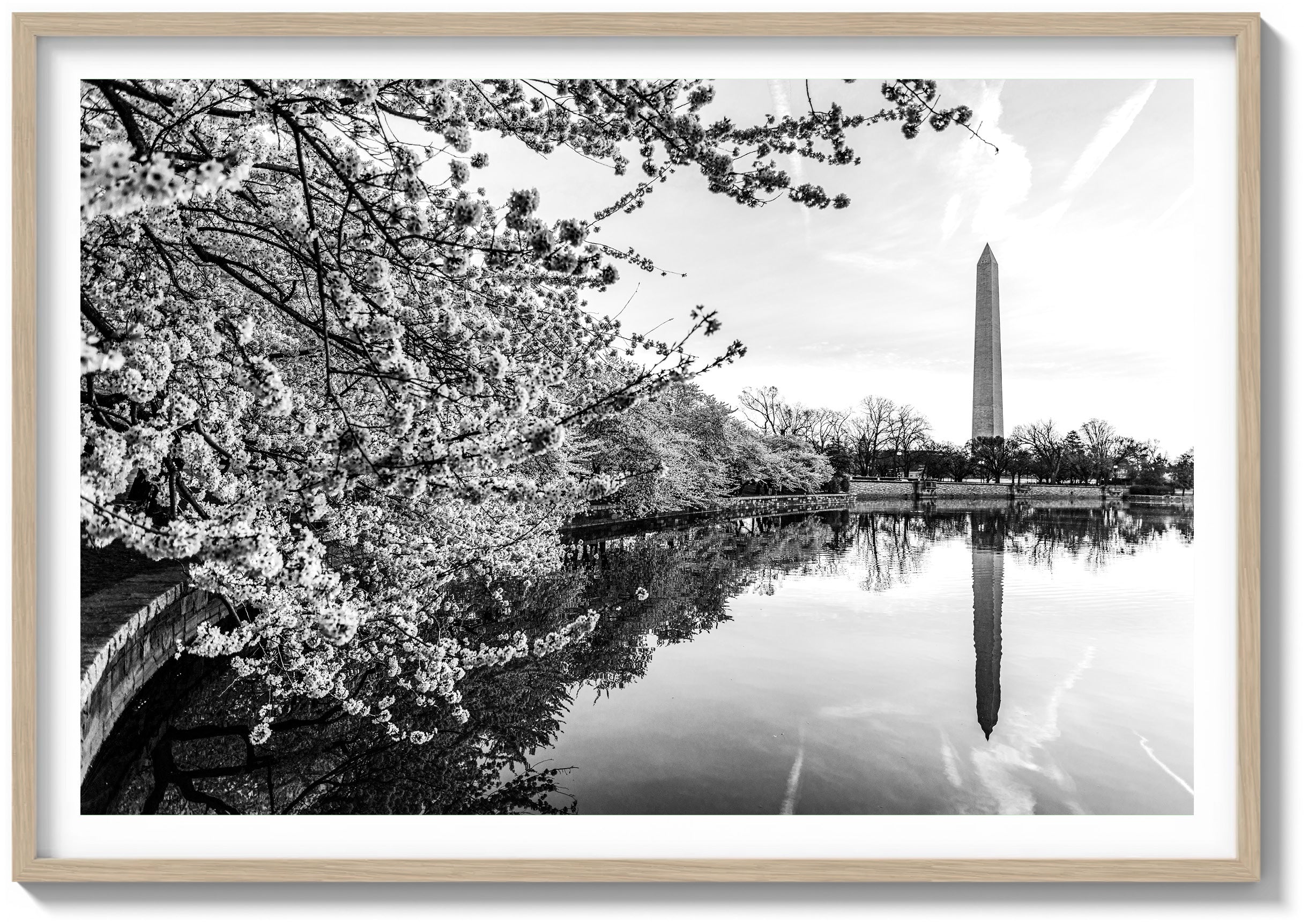 Springtime Bloom
