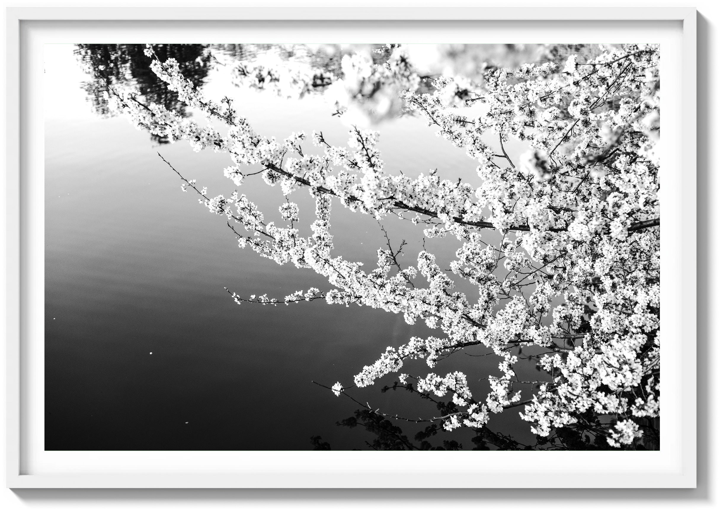 Stillness Over the Basin