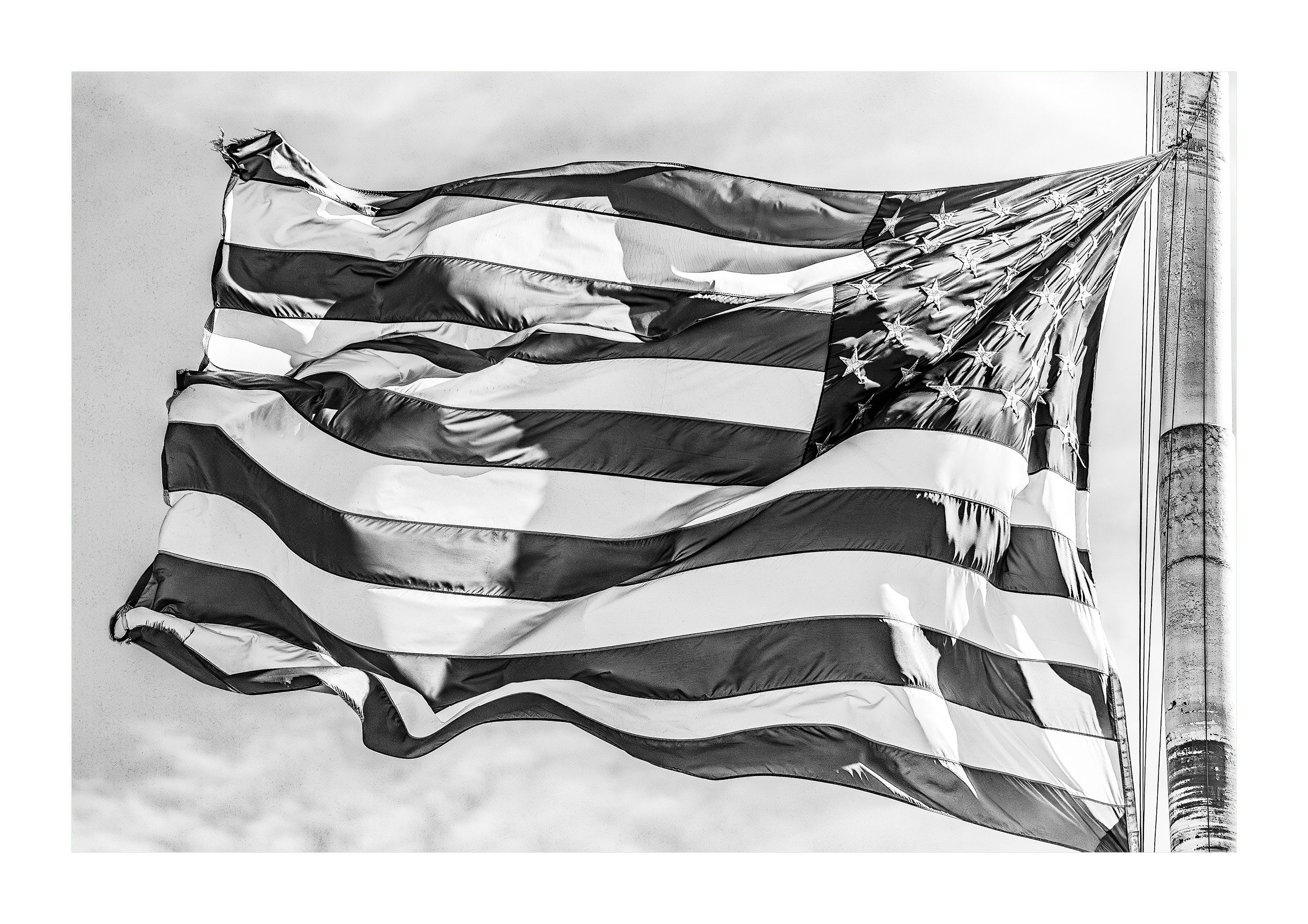 Stars & Stripes