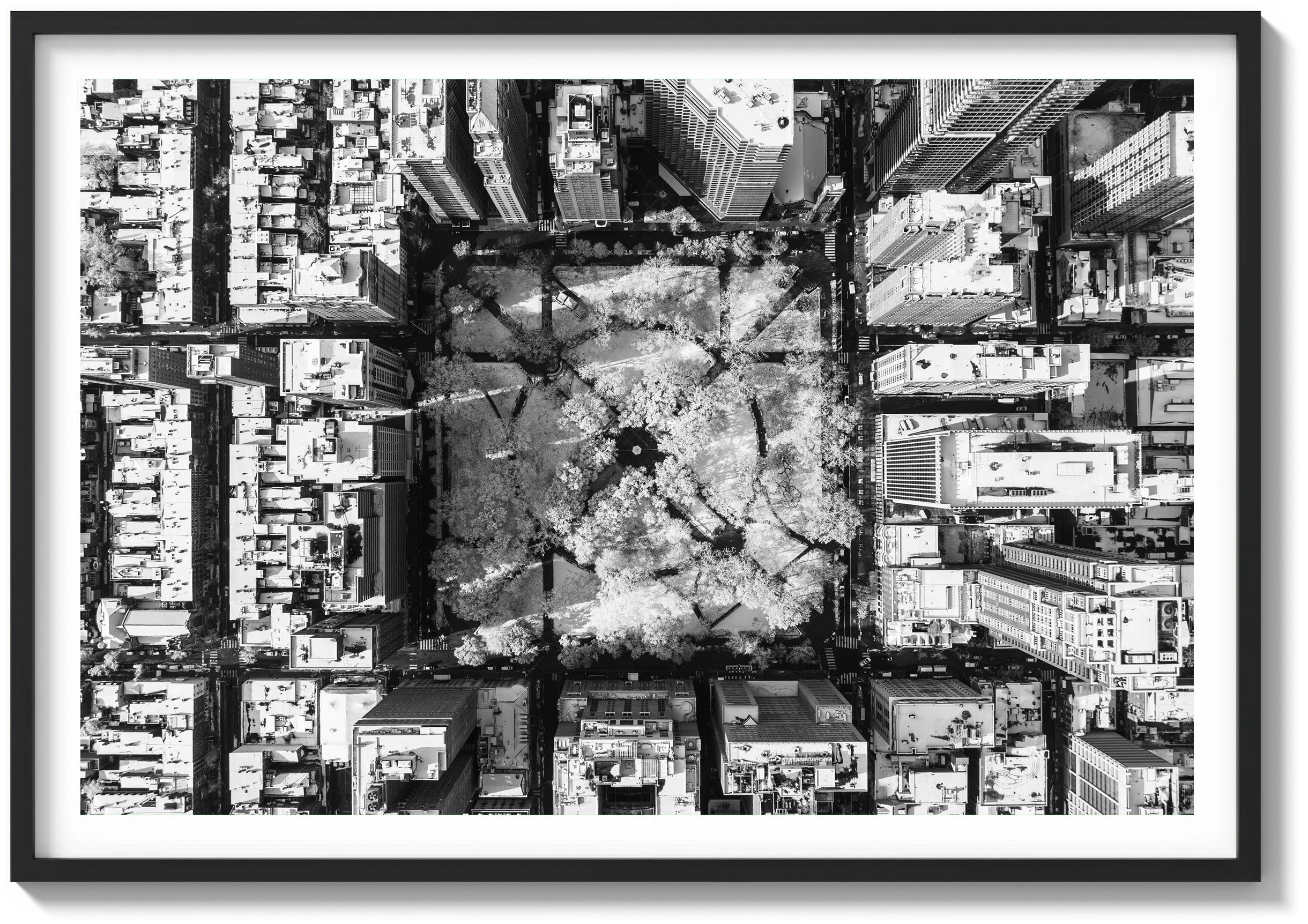 Above Rittenhouse in Snow