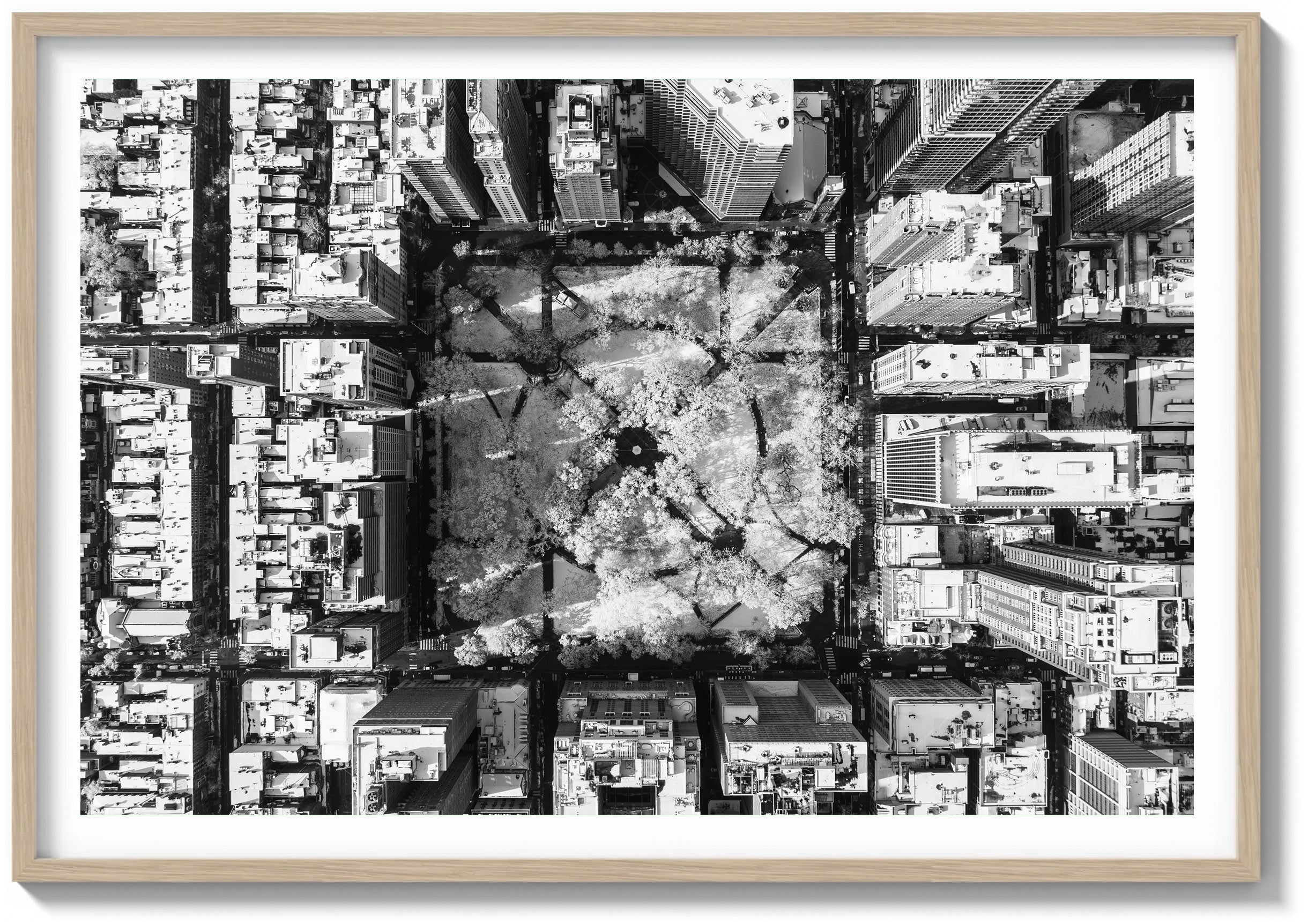 Above Rittenhouse in Snow