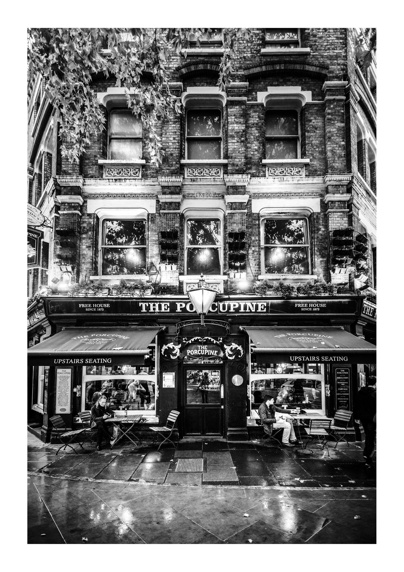 Happy Hour At The Porcupine