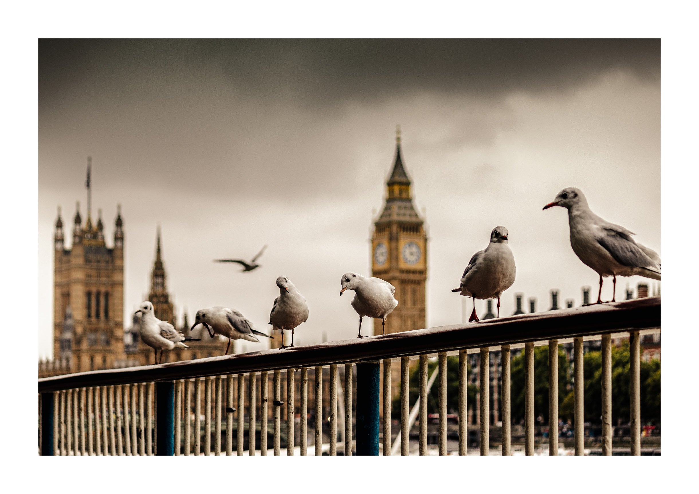 Eyes of the Thames