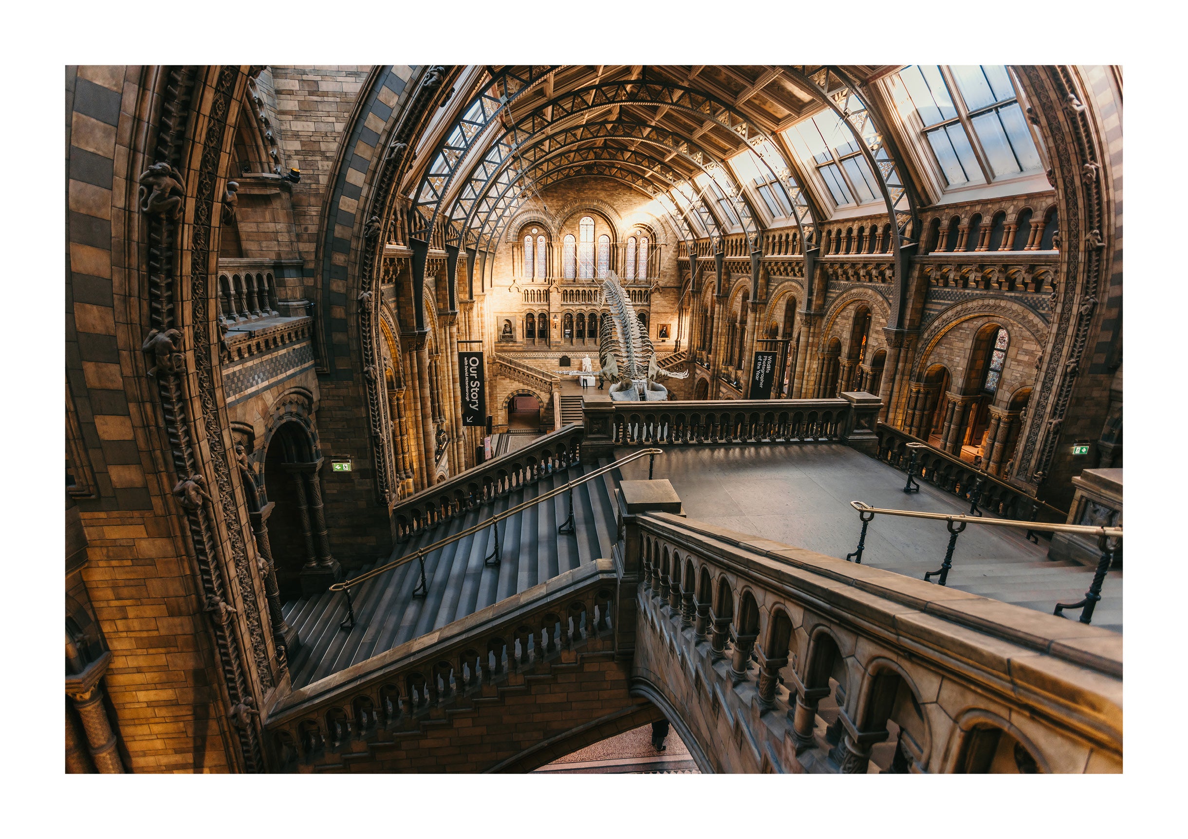 Ascending the History Museum