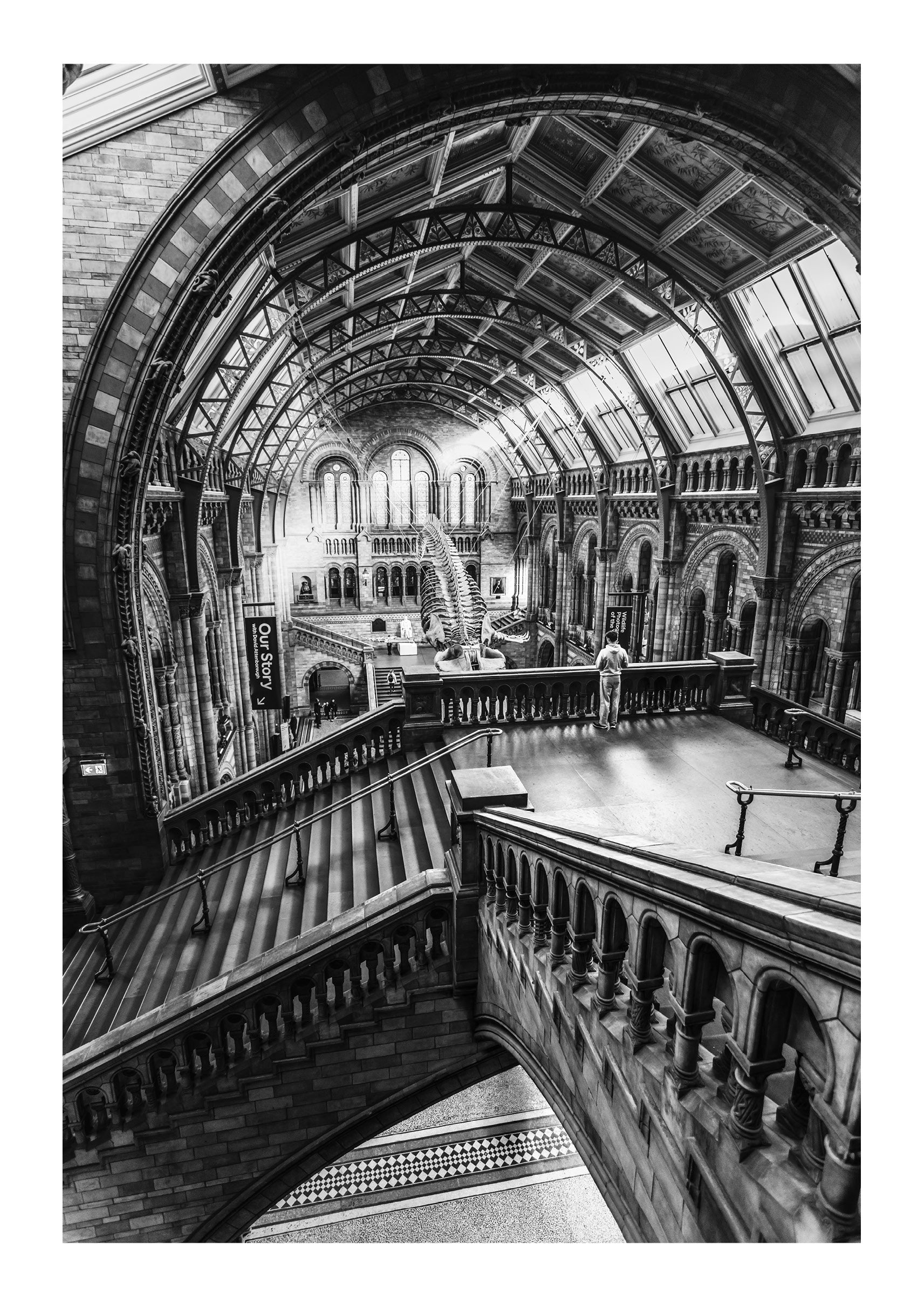 First Light at the Museum