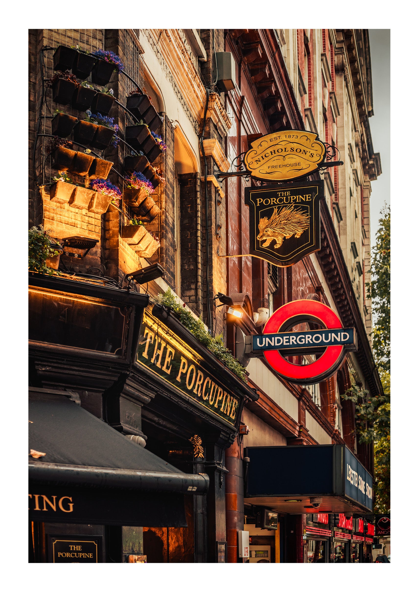 Signage at The Porcupine