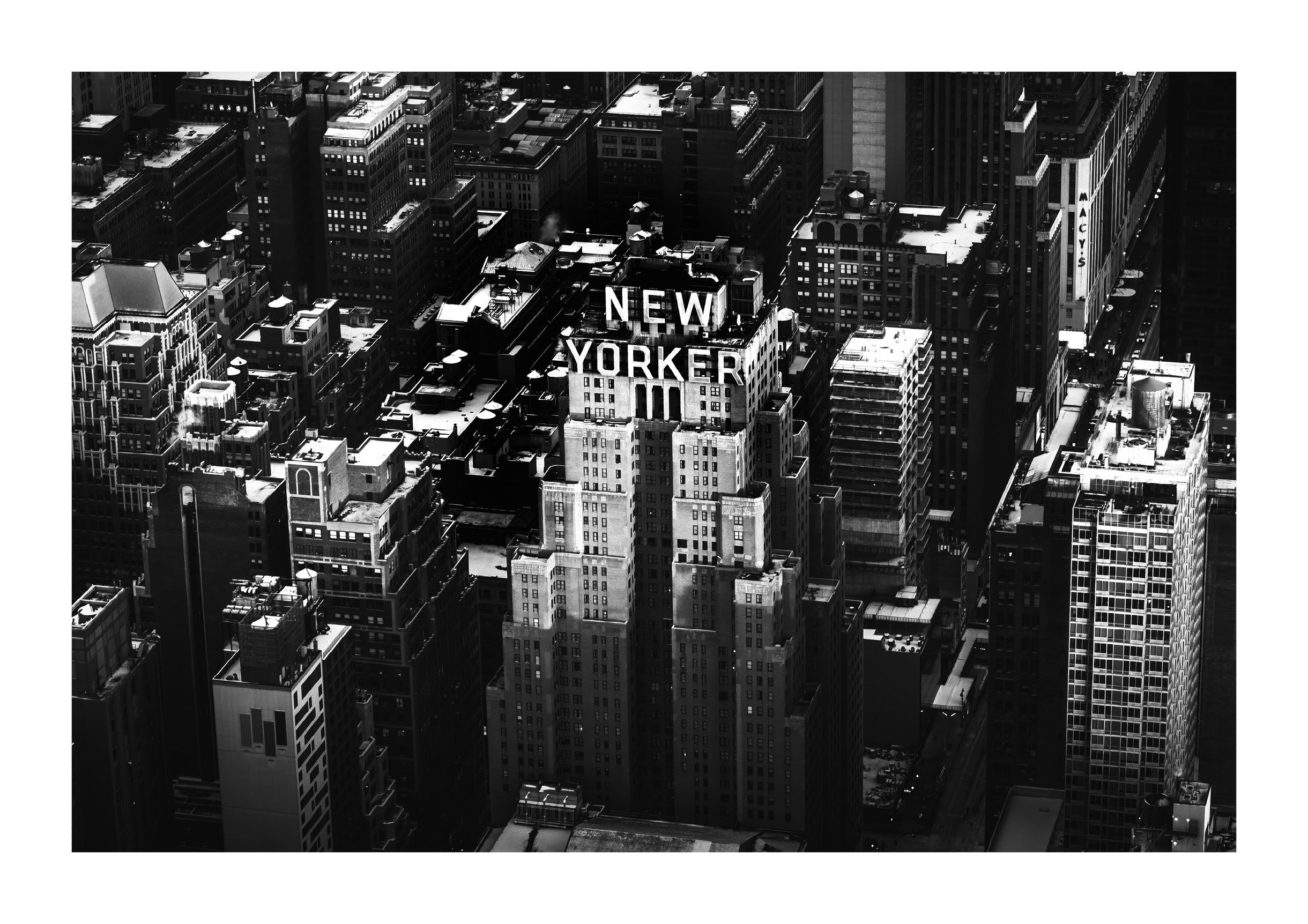 The New Yorker