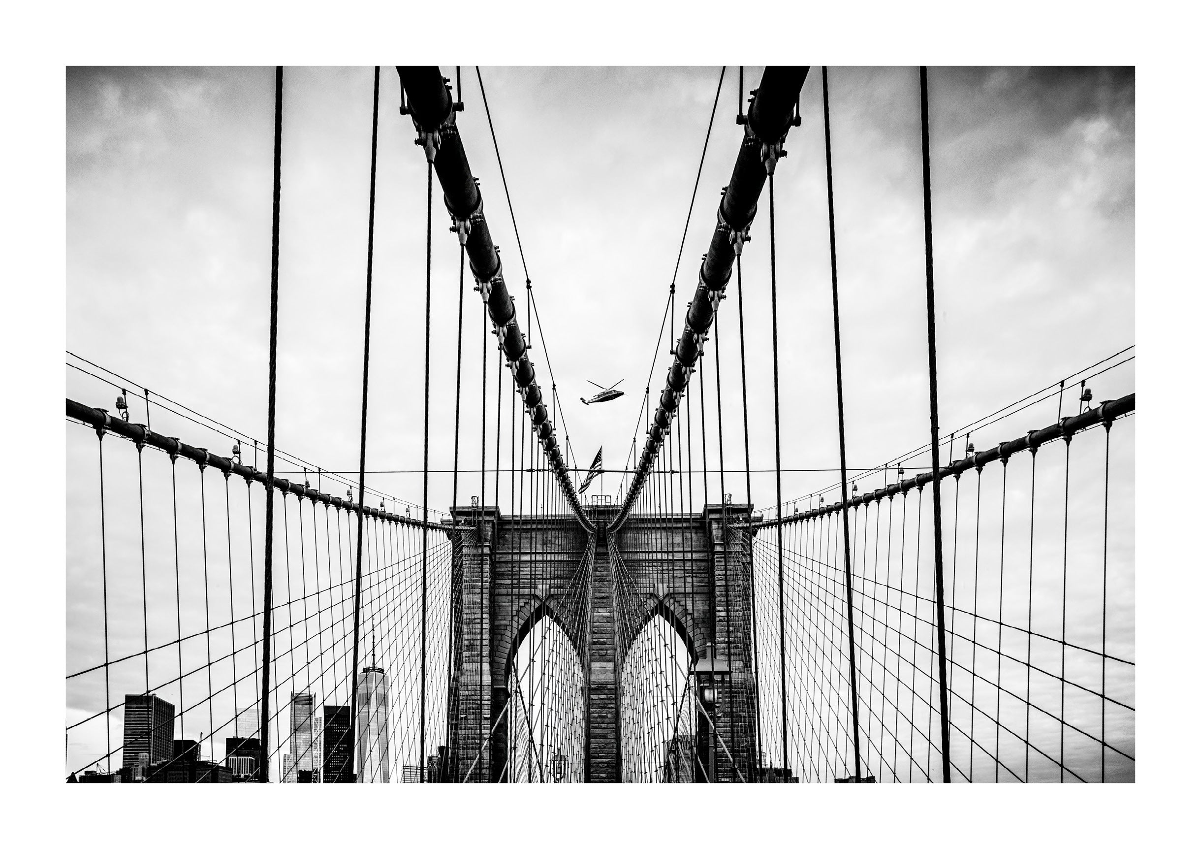 Web of Steel