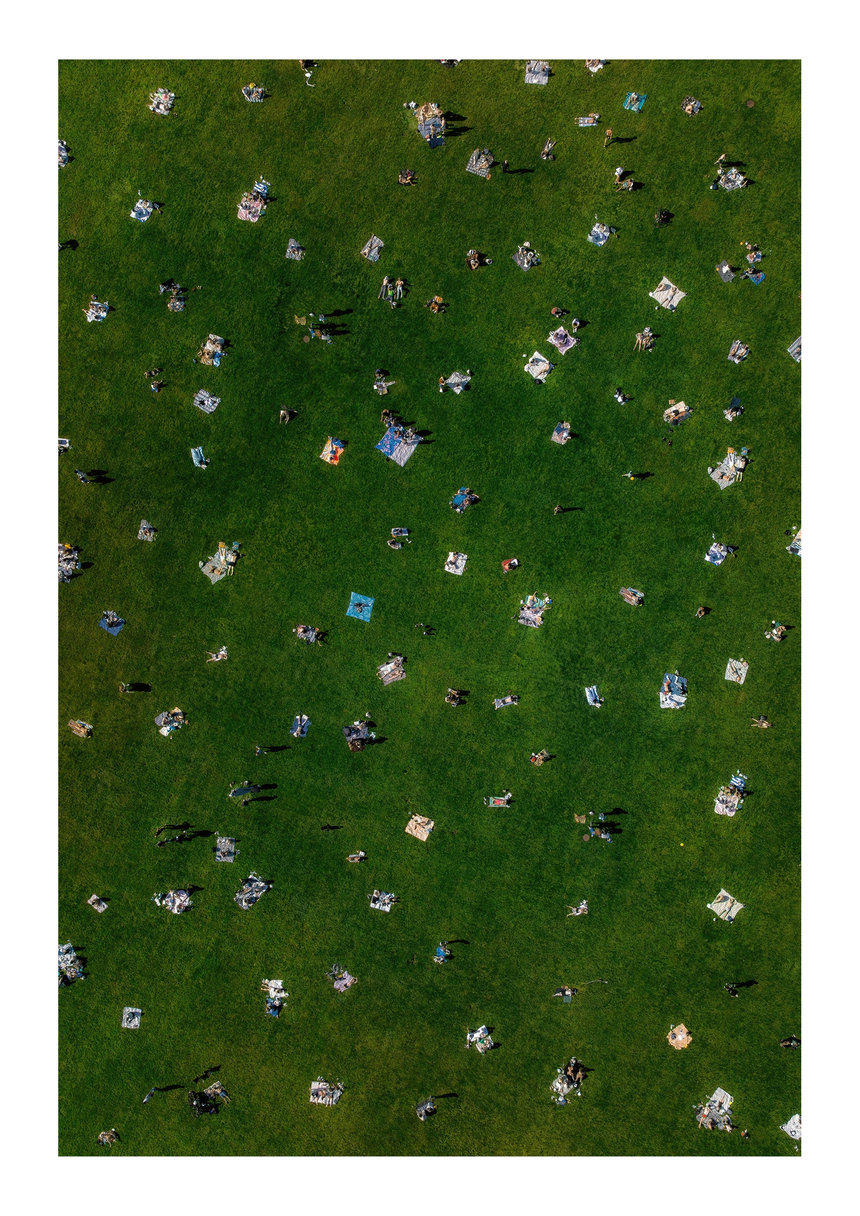 Sheep Meadow Sunbathers