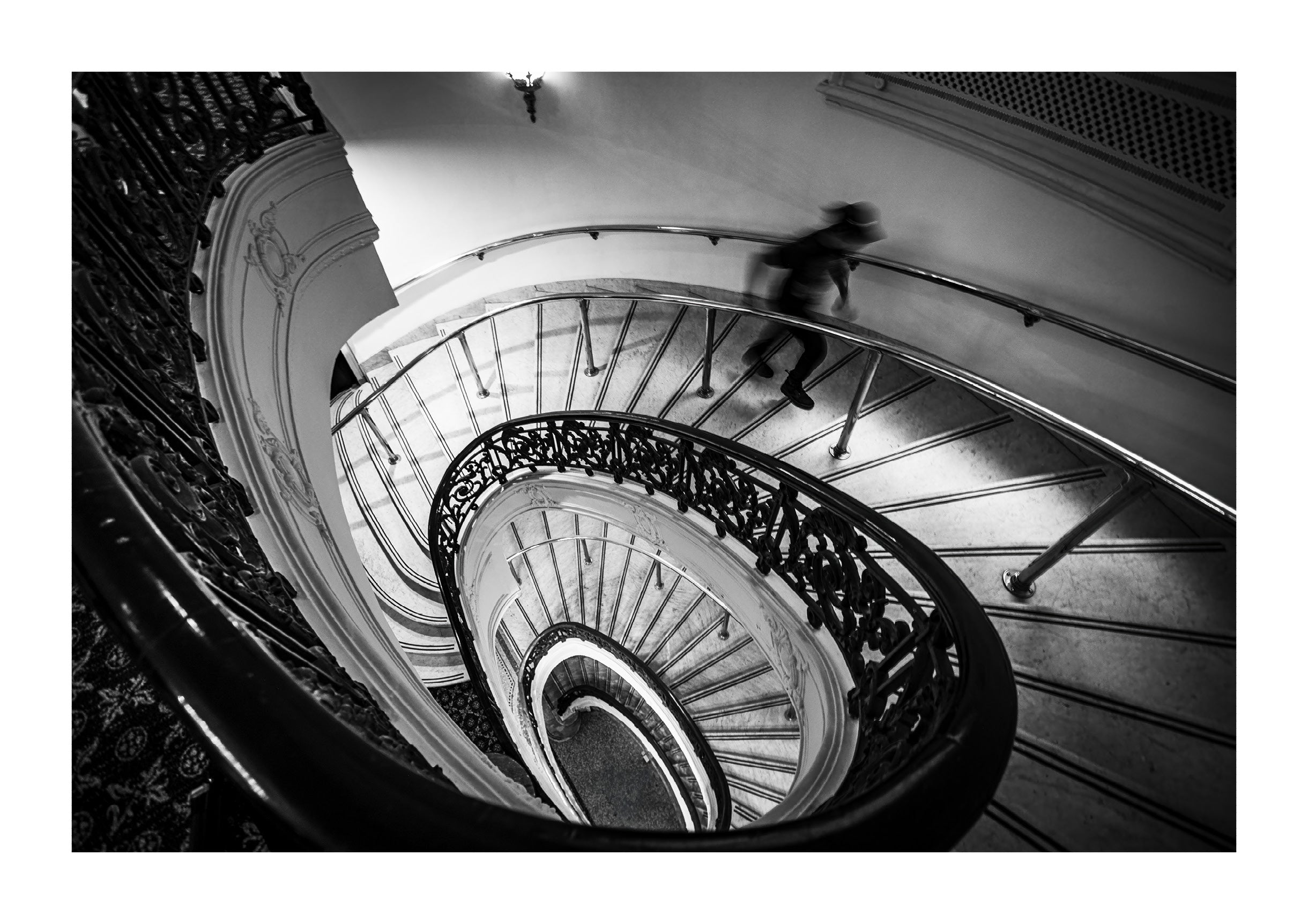 Spiraled Elegance
