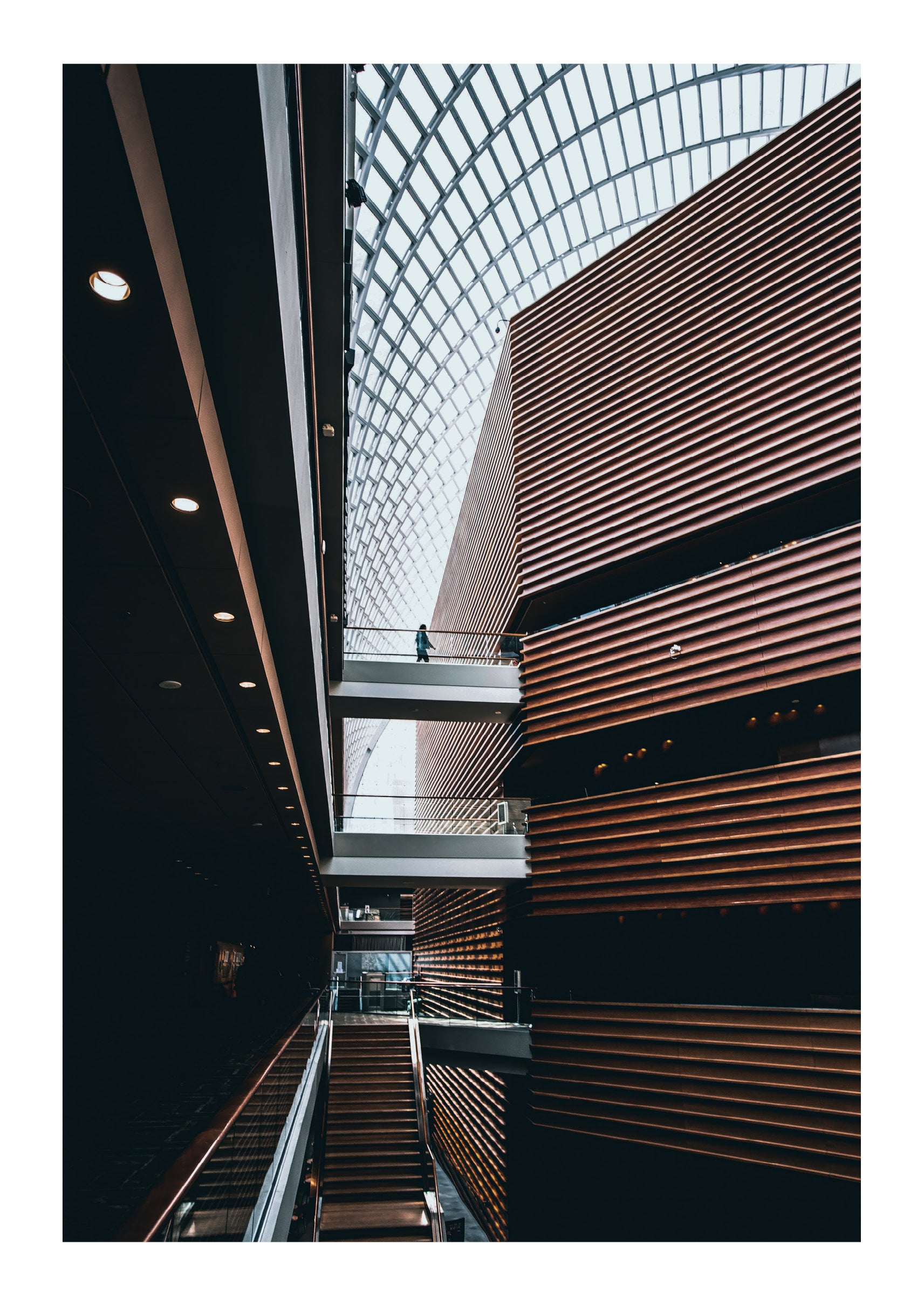 Showtime at the Kimmel