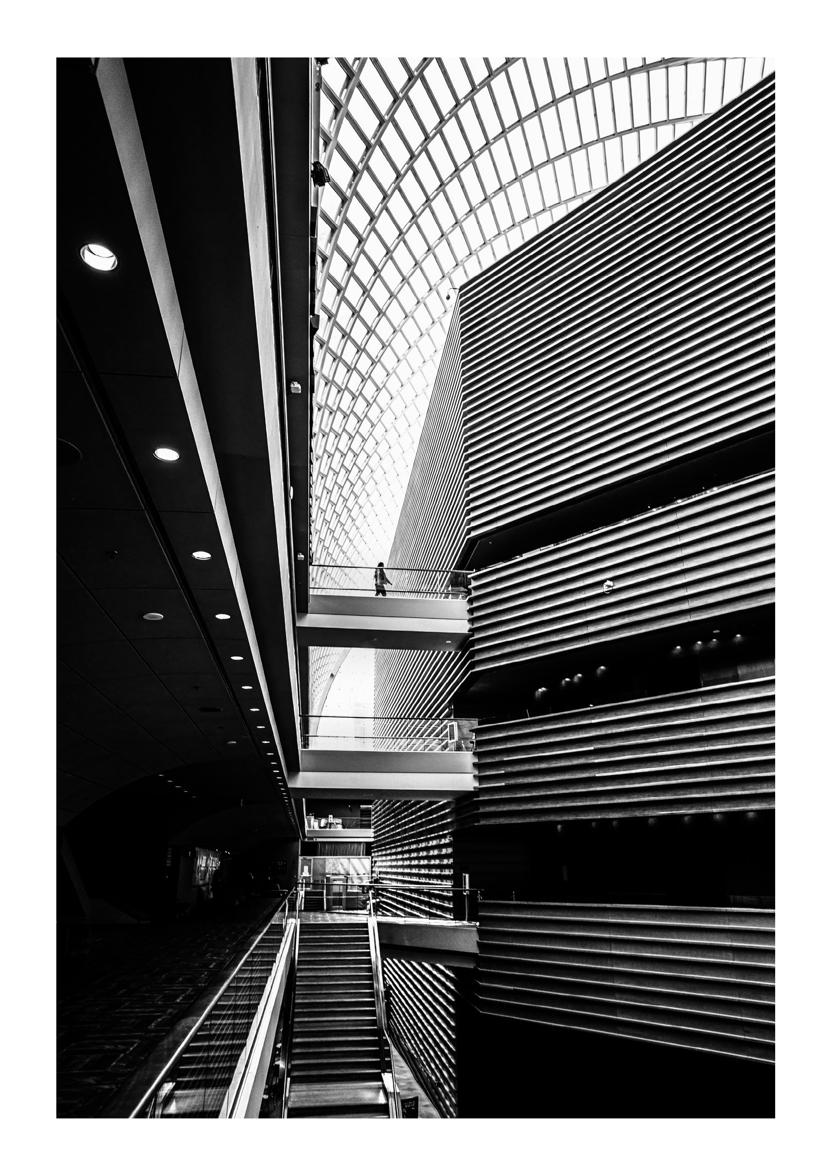 Showtime at the Kimmel