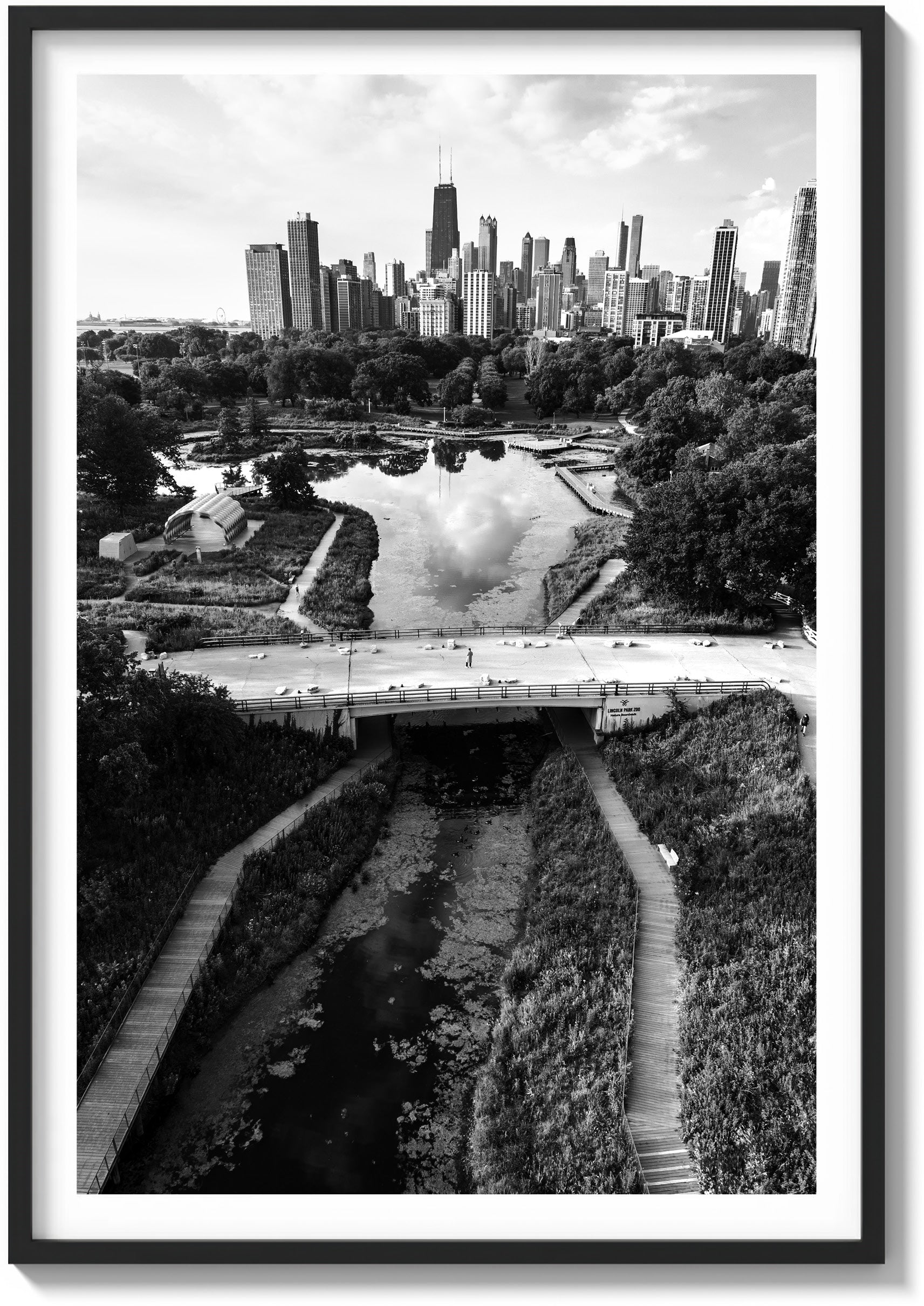 Springtime in Chicago