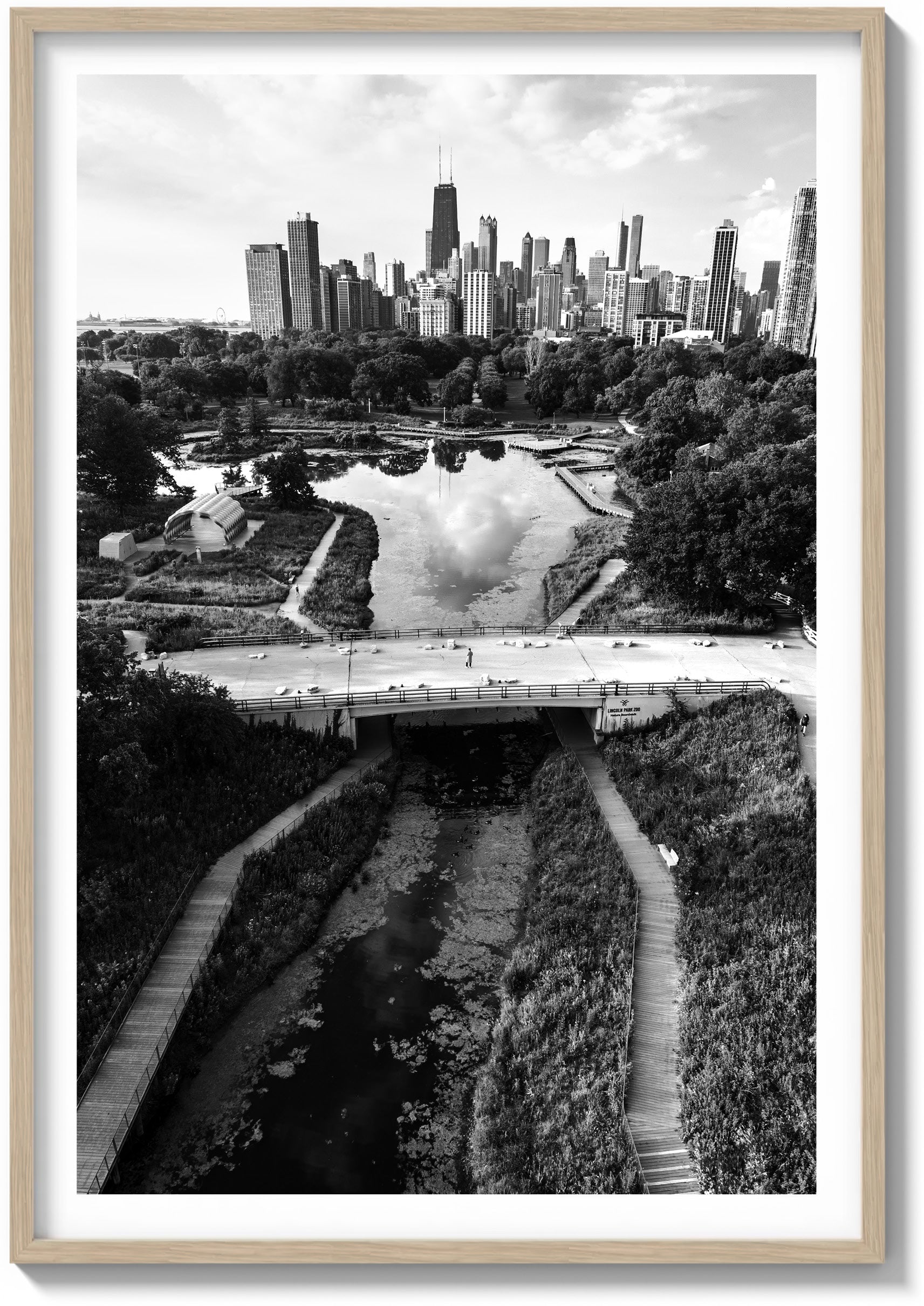 Springtime in Chicago