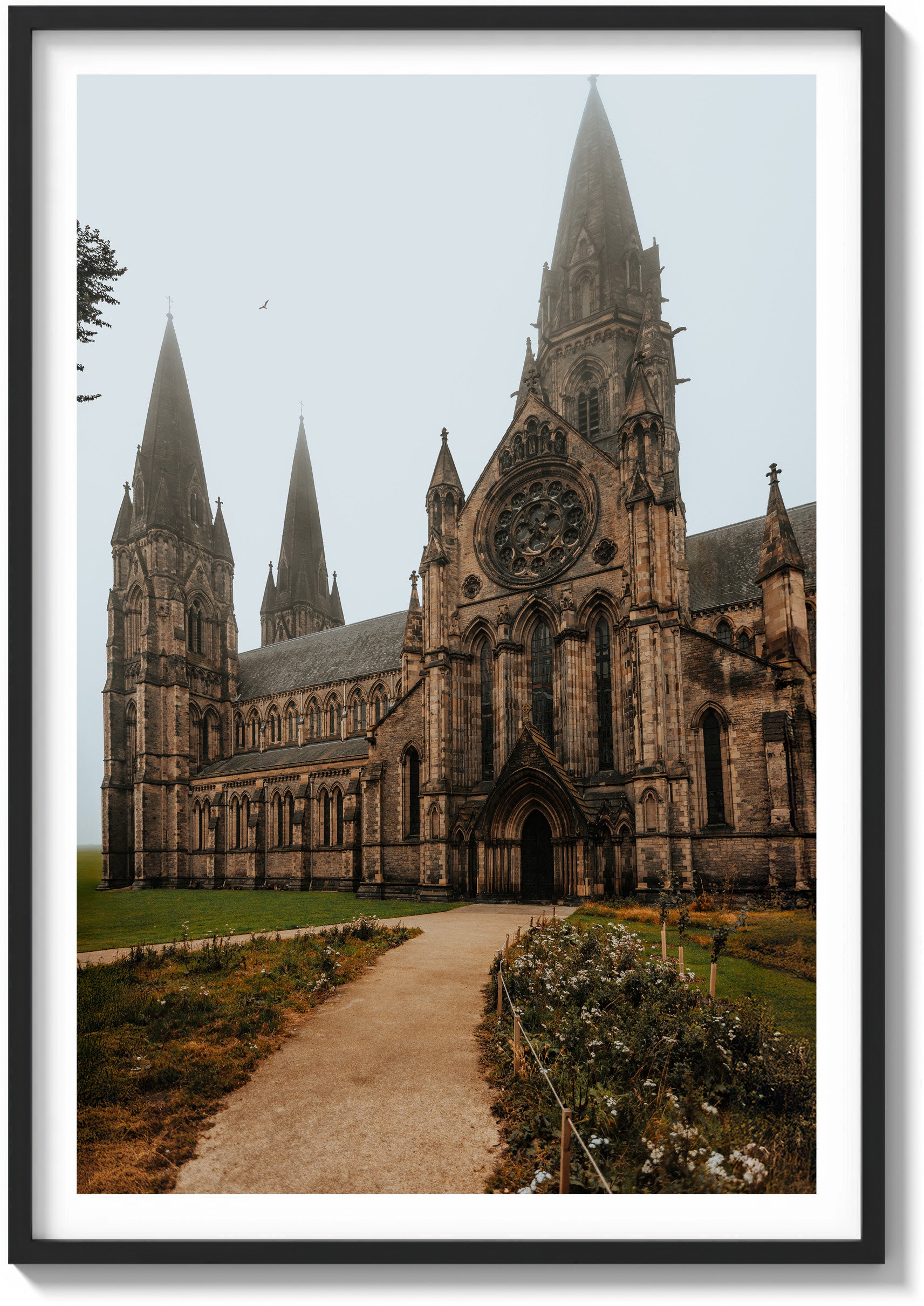 Stillness at St. Mary’s