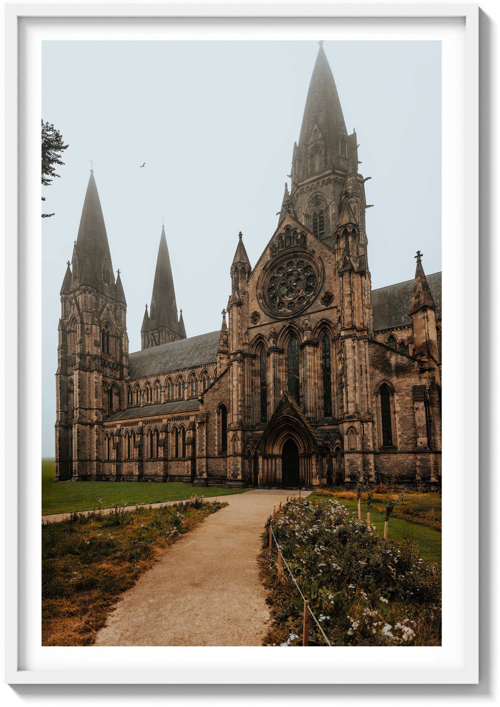 Stillness at St. Mary’s