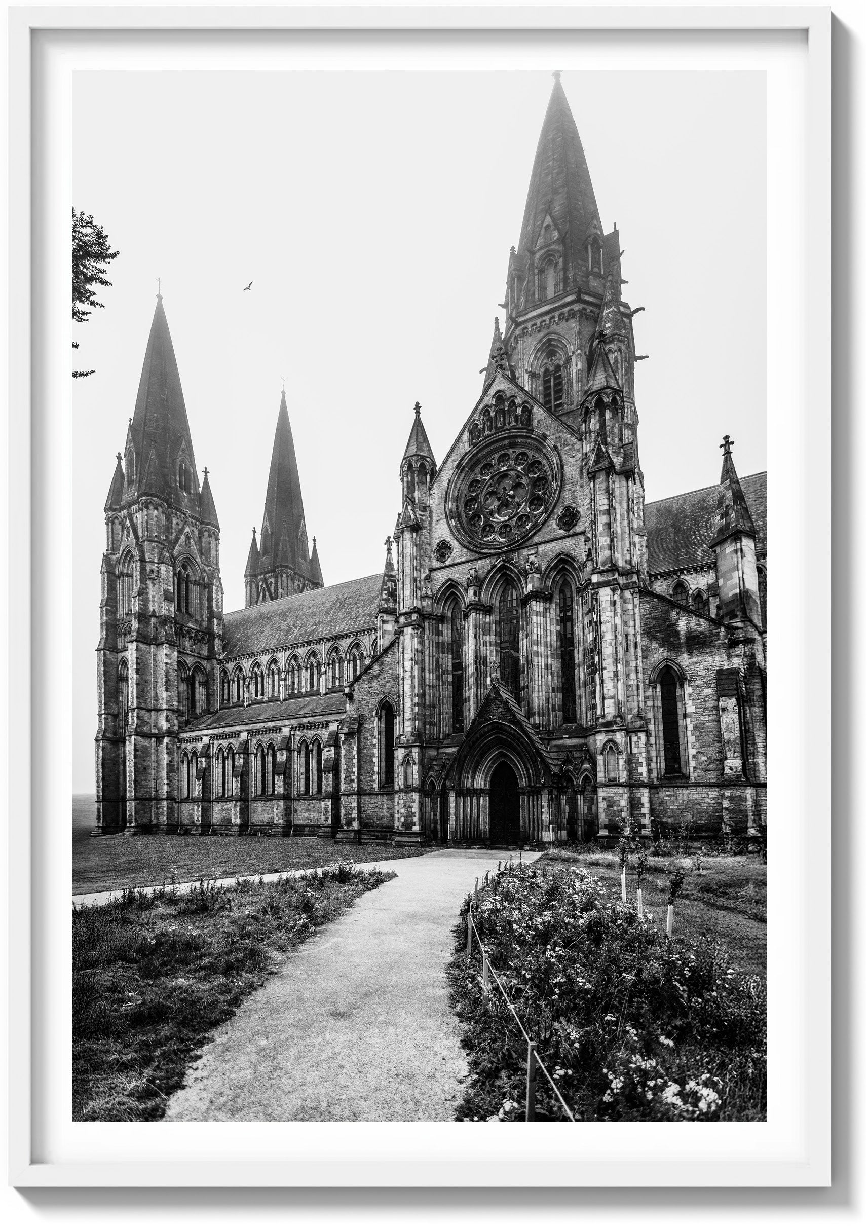 Stillness at St. Mary’s