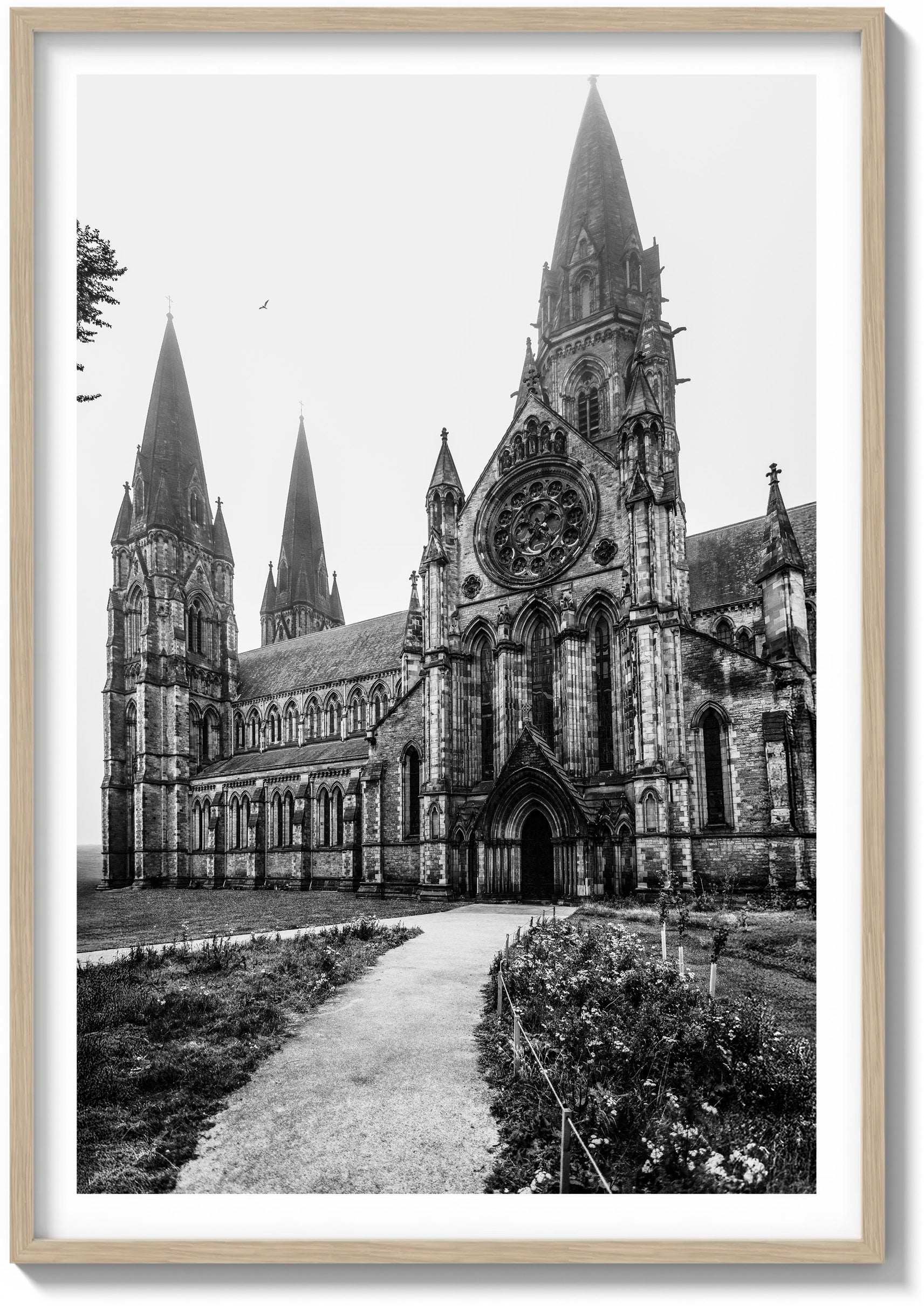 Stillness at St. Mary’s