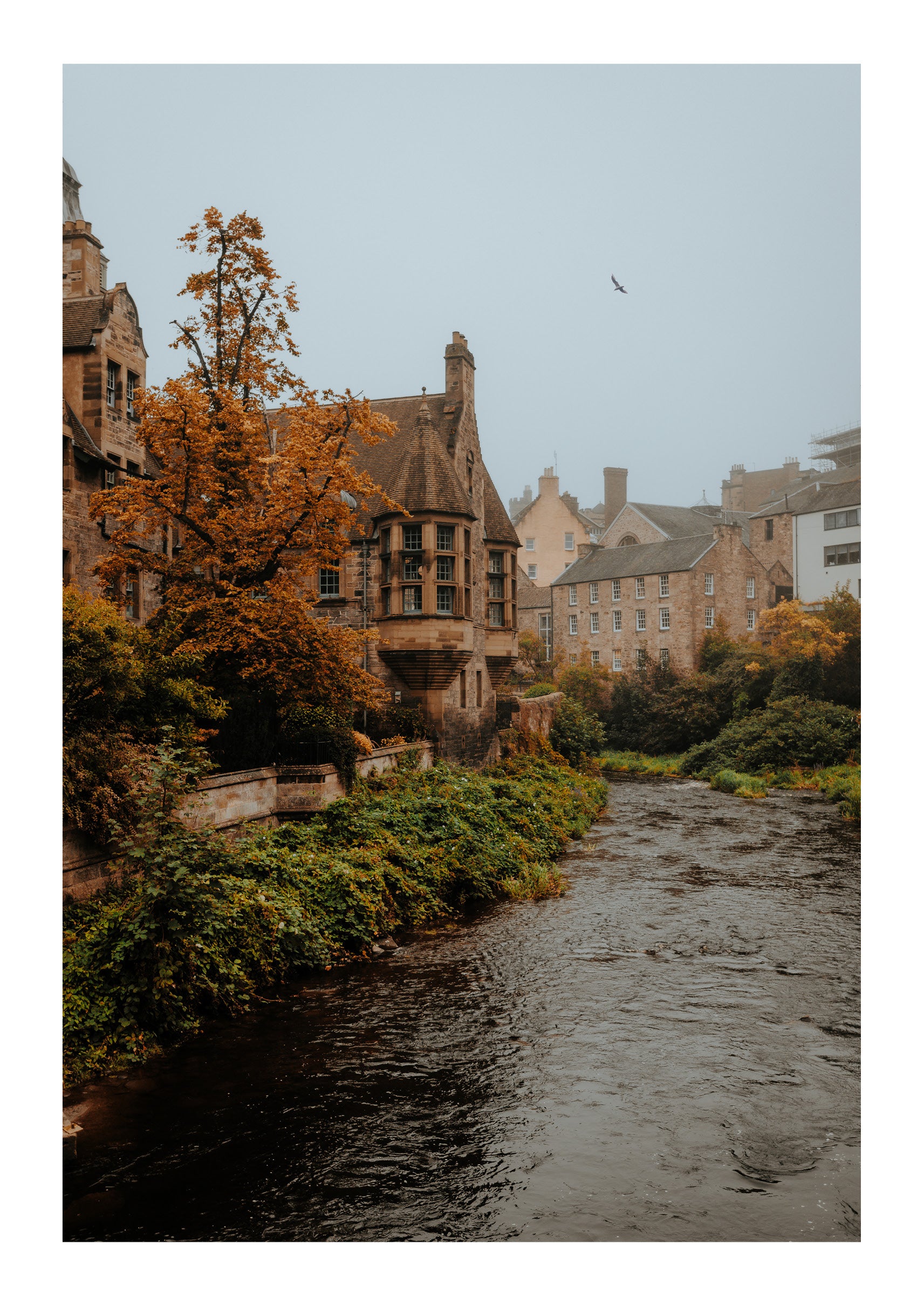 Autumn in Dean Village
