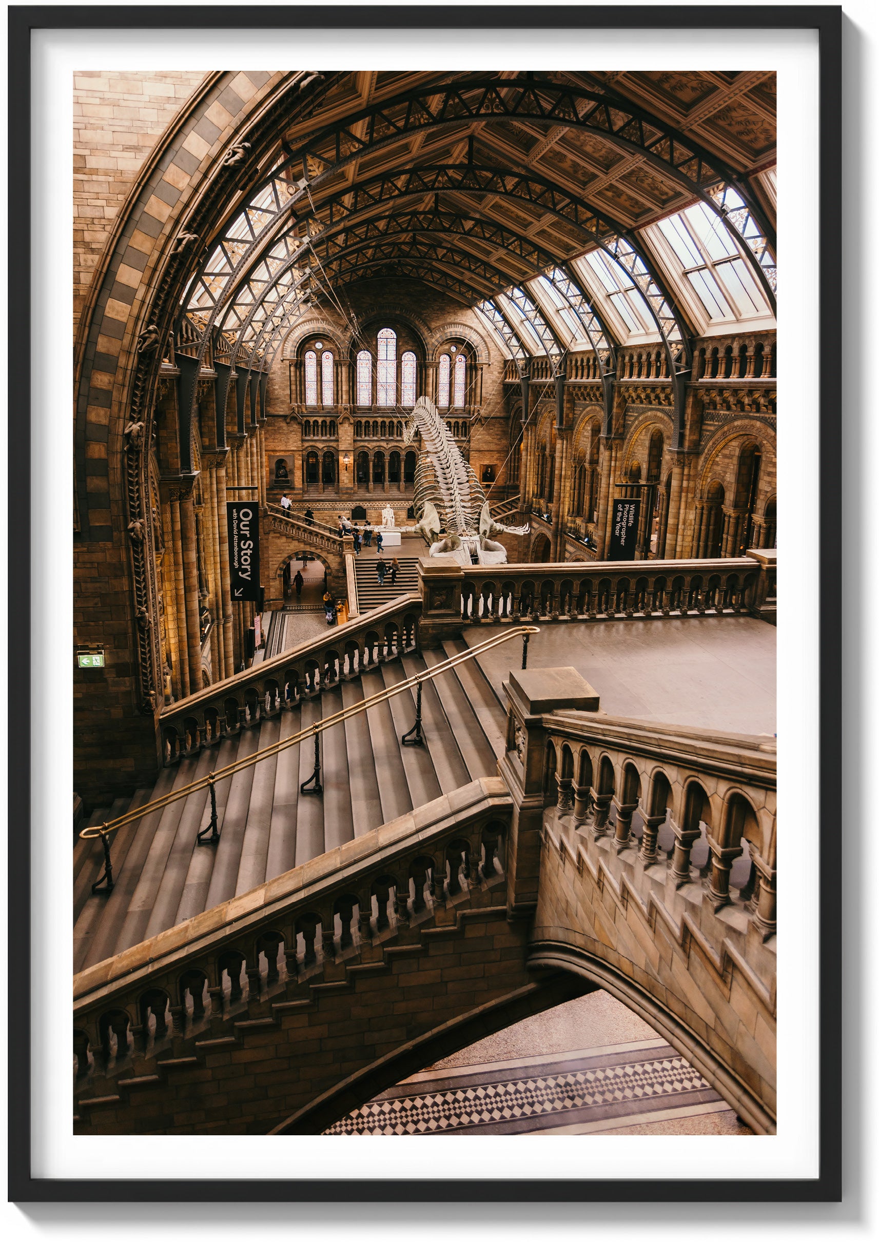 Natural History Museum