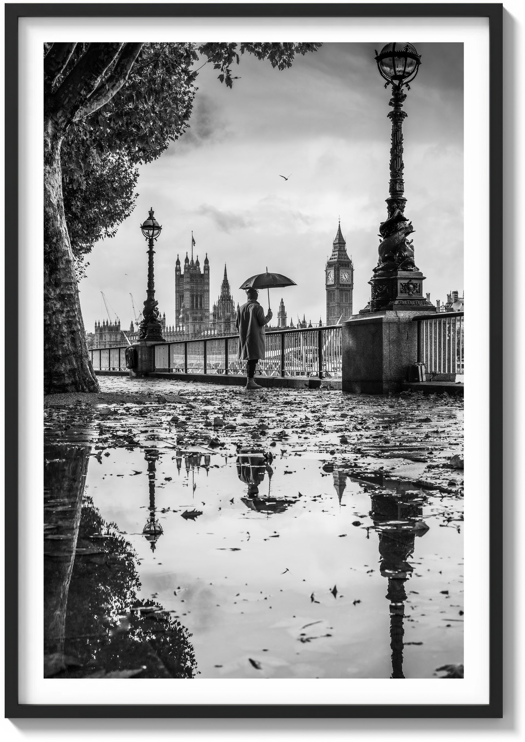 Riverwalk Reflections