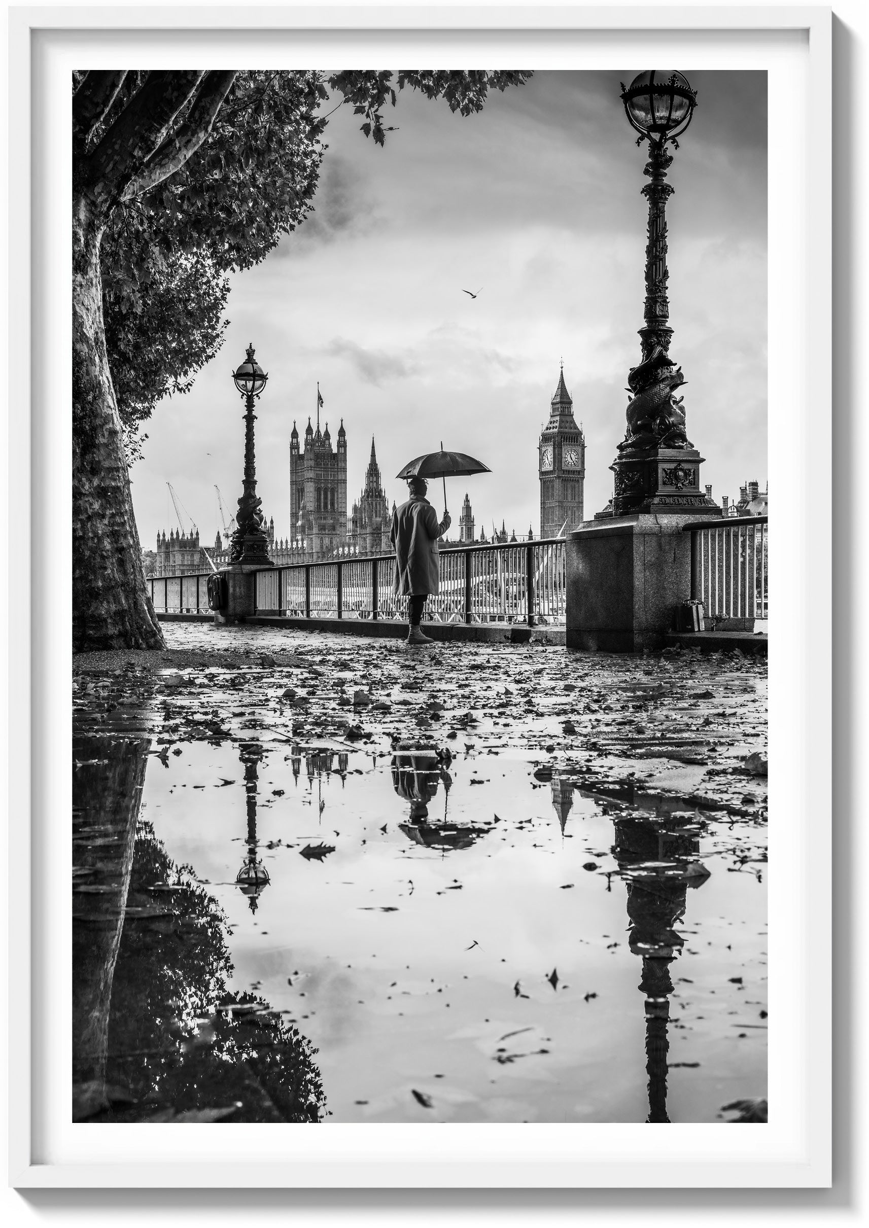 Riverwalk Reflections