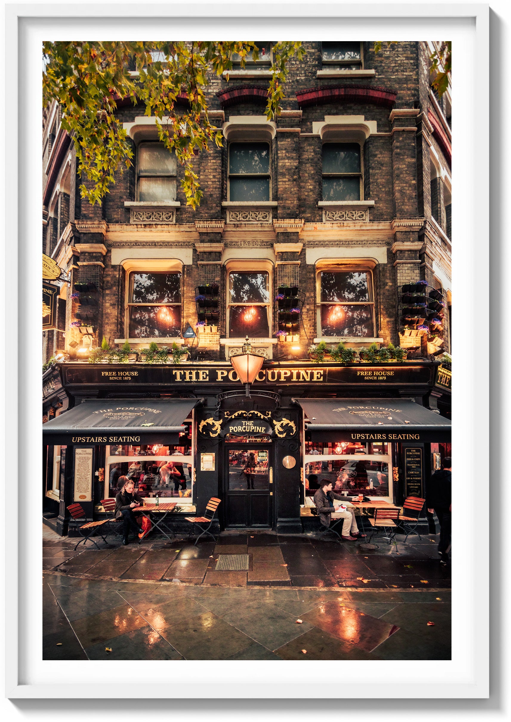 Happy Hour At The Porcupine