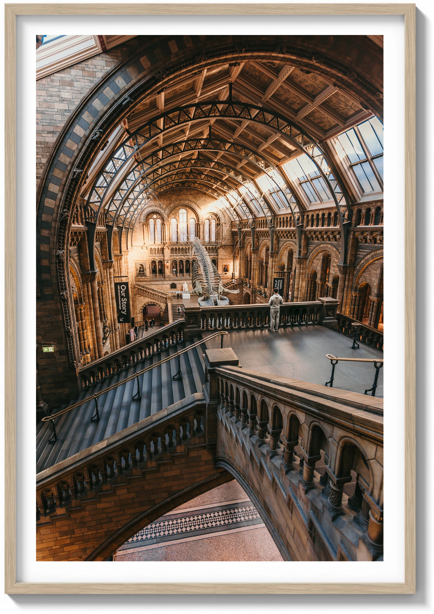 First Light at the Museum
