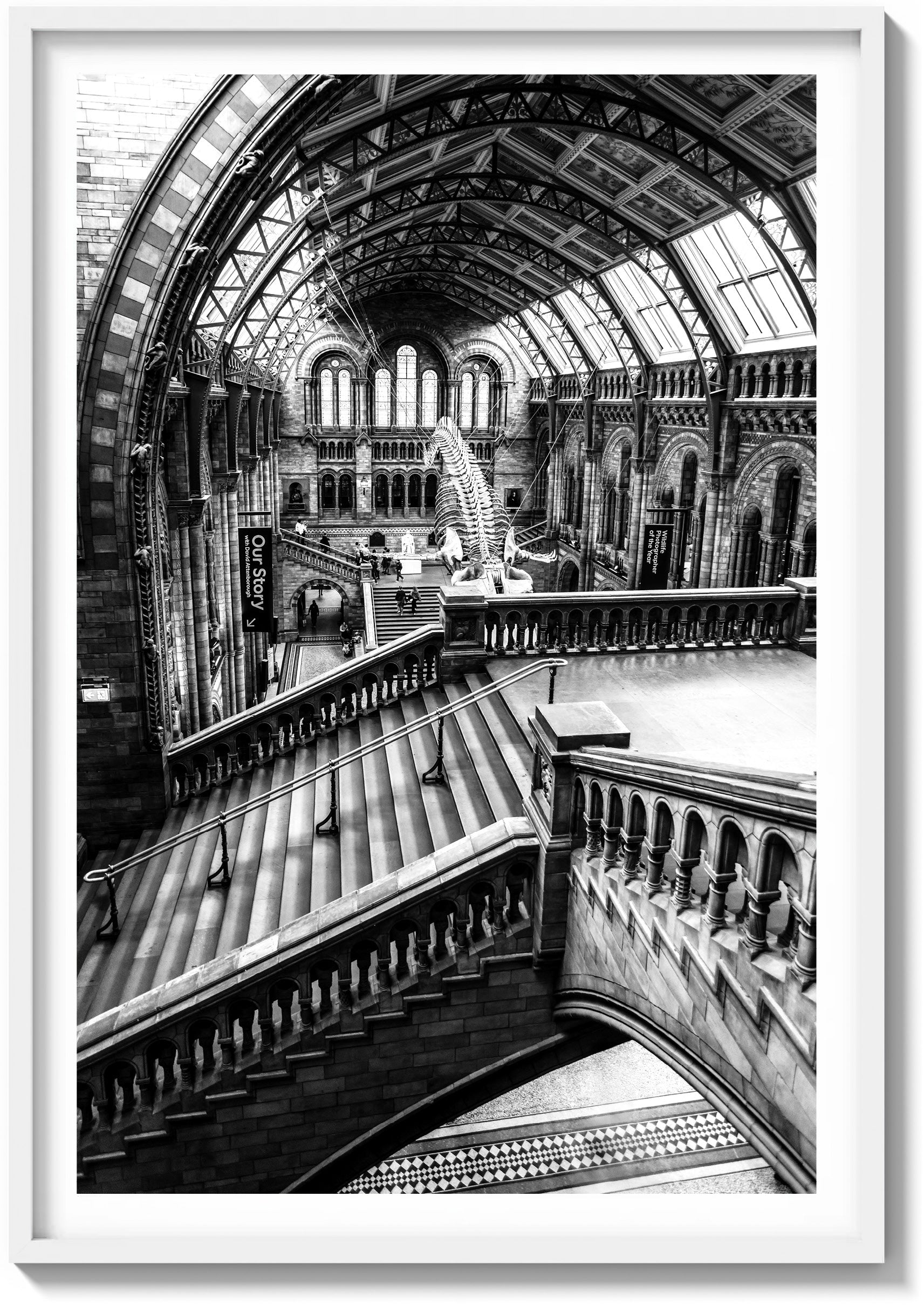 Natural History Museum