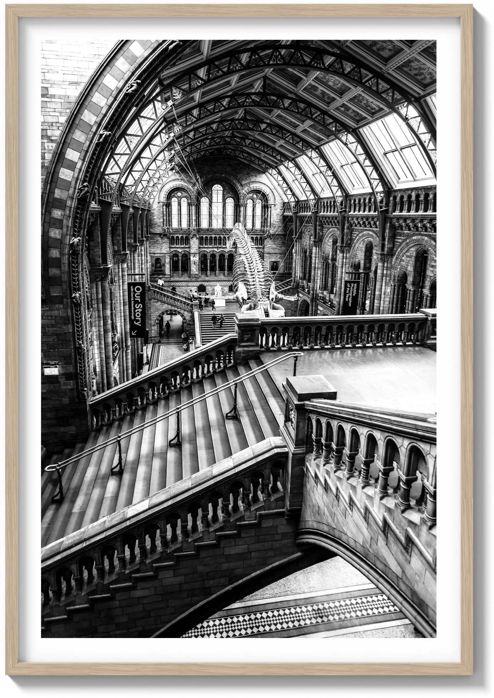 Natural History Museum