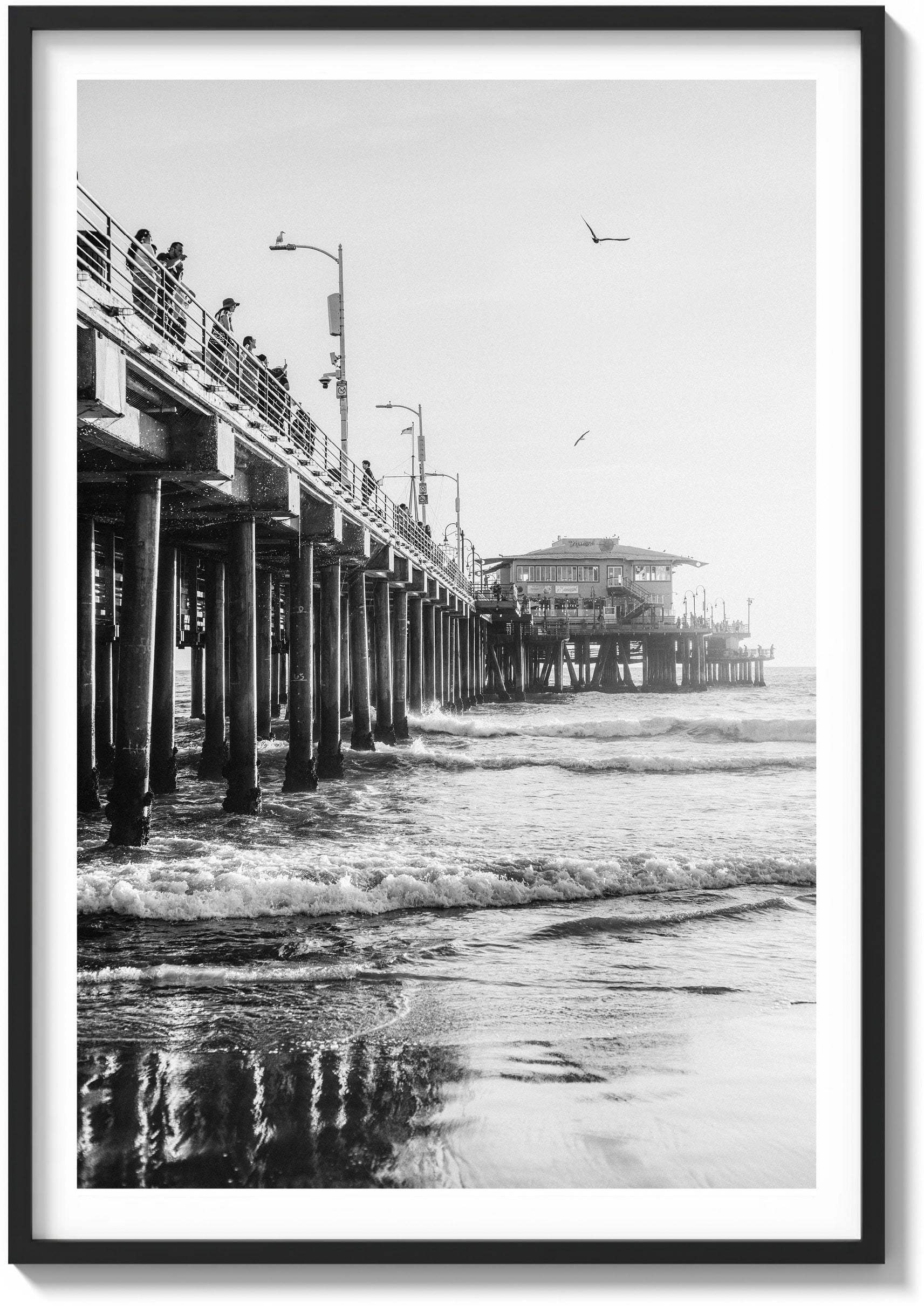 Santa Monica Sun
