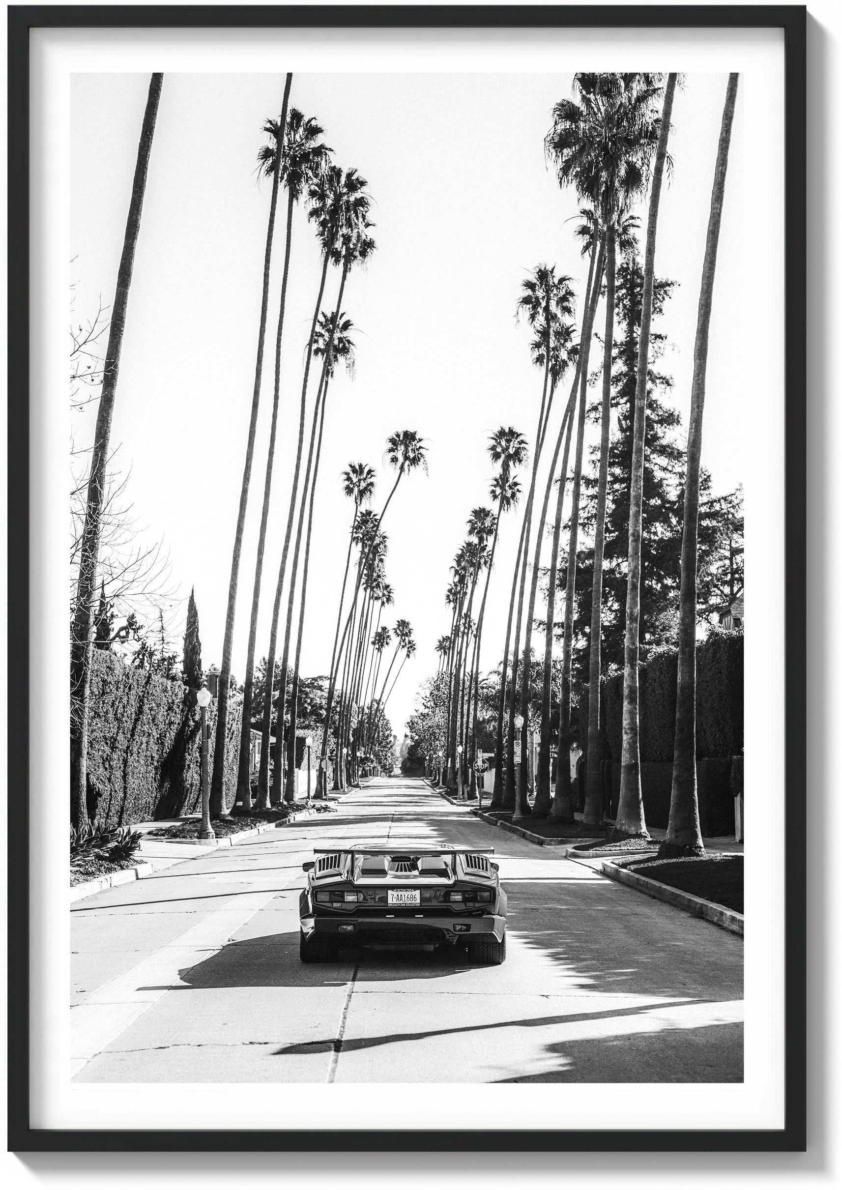 Beverly Hills Perfection