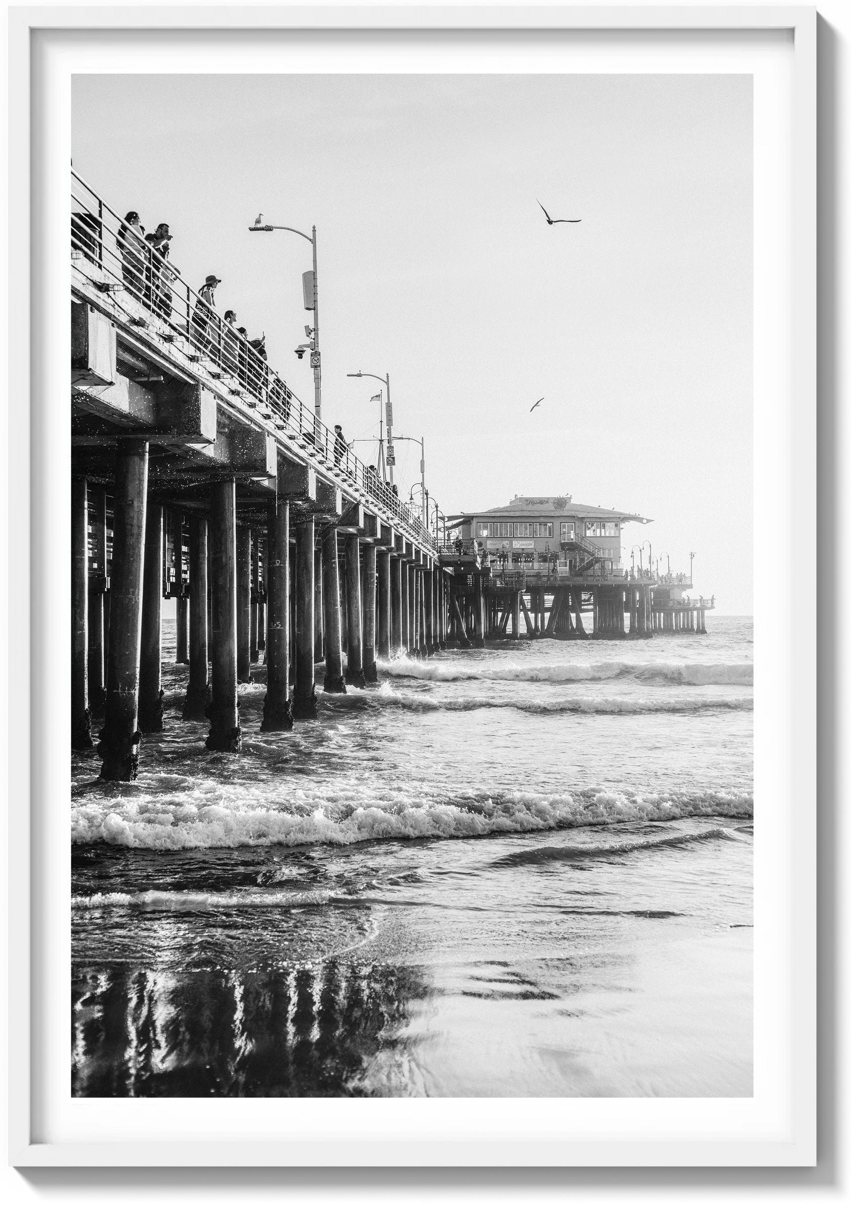 Santa Monica Sun