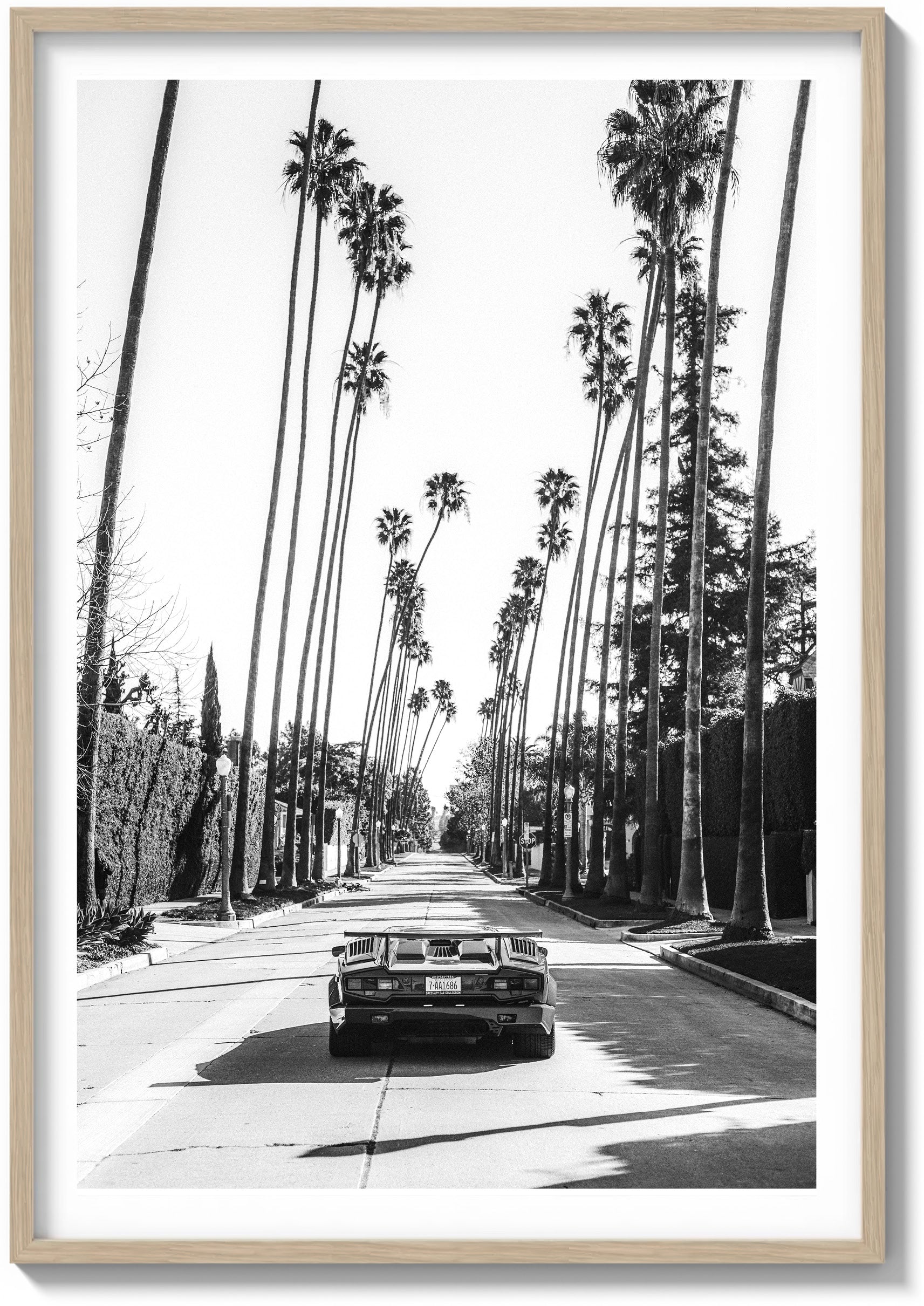 Beverly Hills Perfection