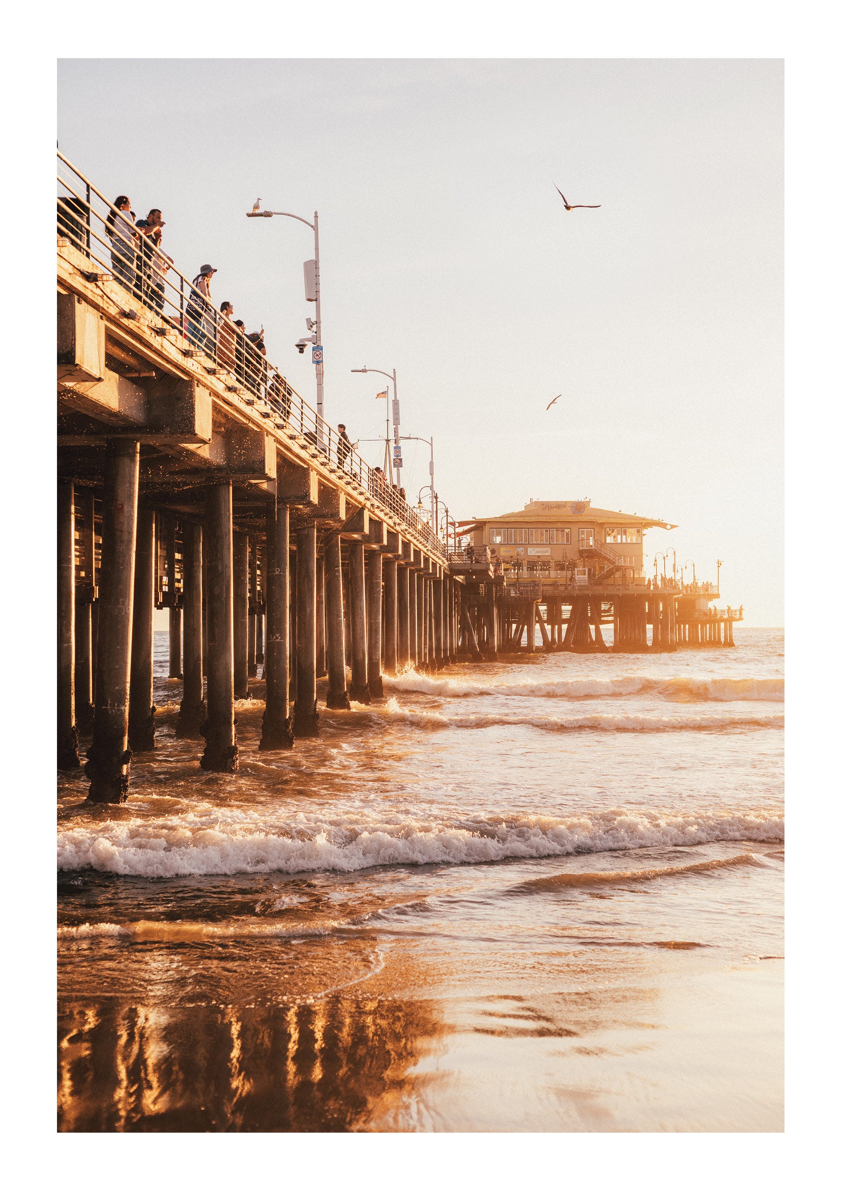 Santa Monica Sun