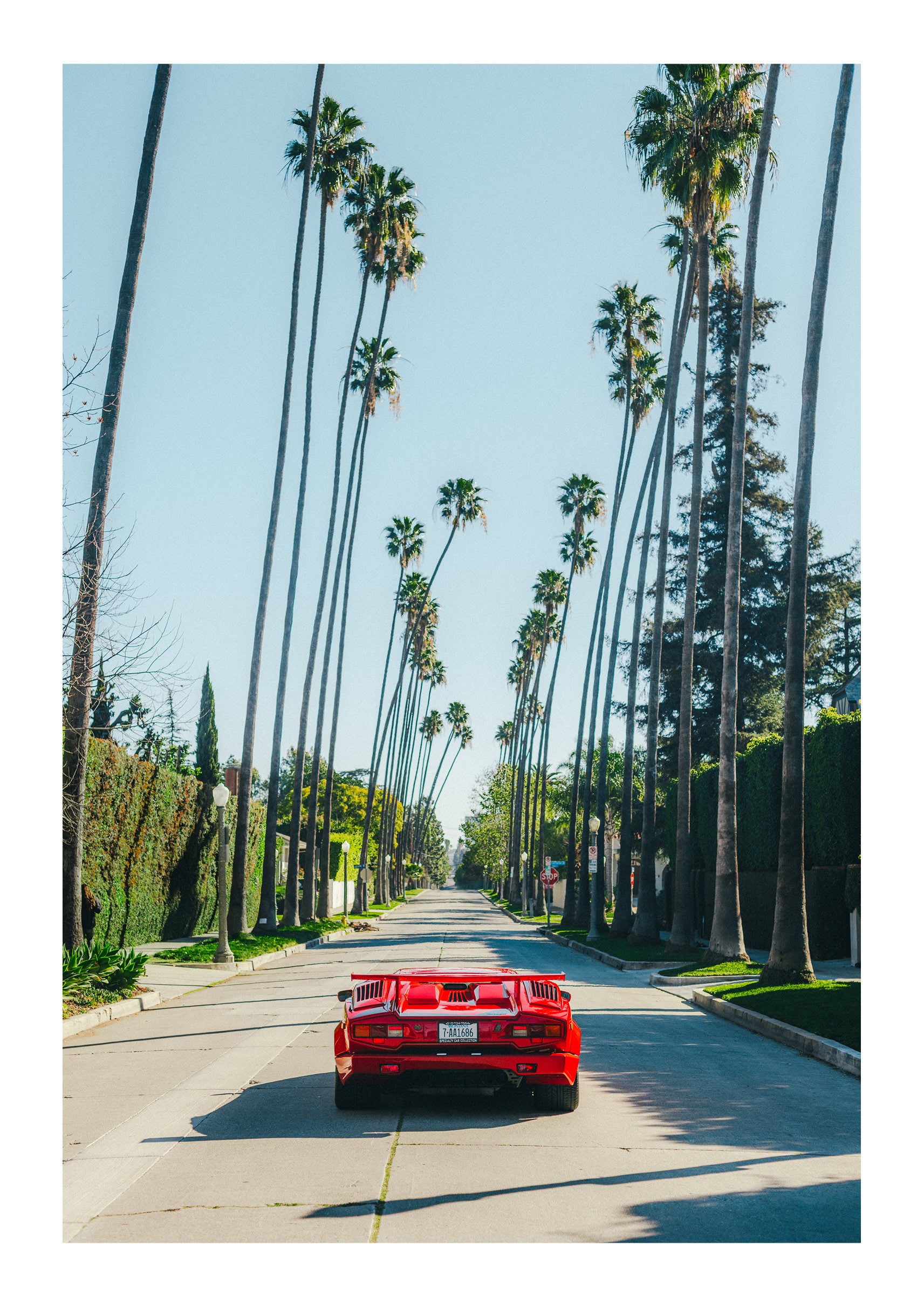 Beverly Hills Perfection