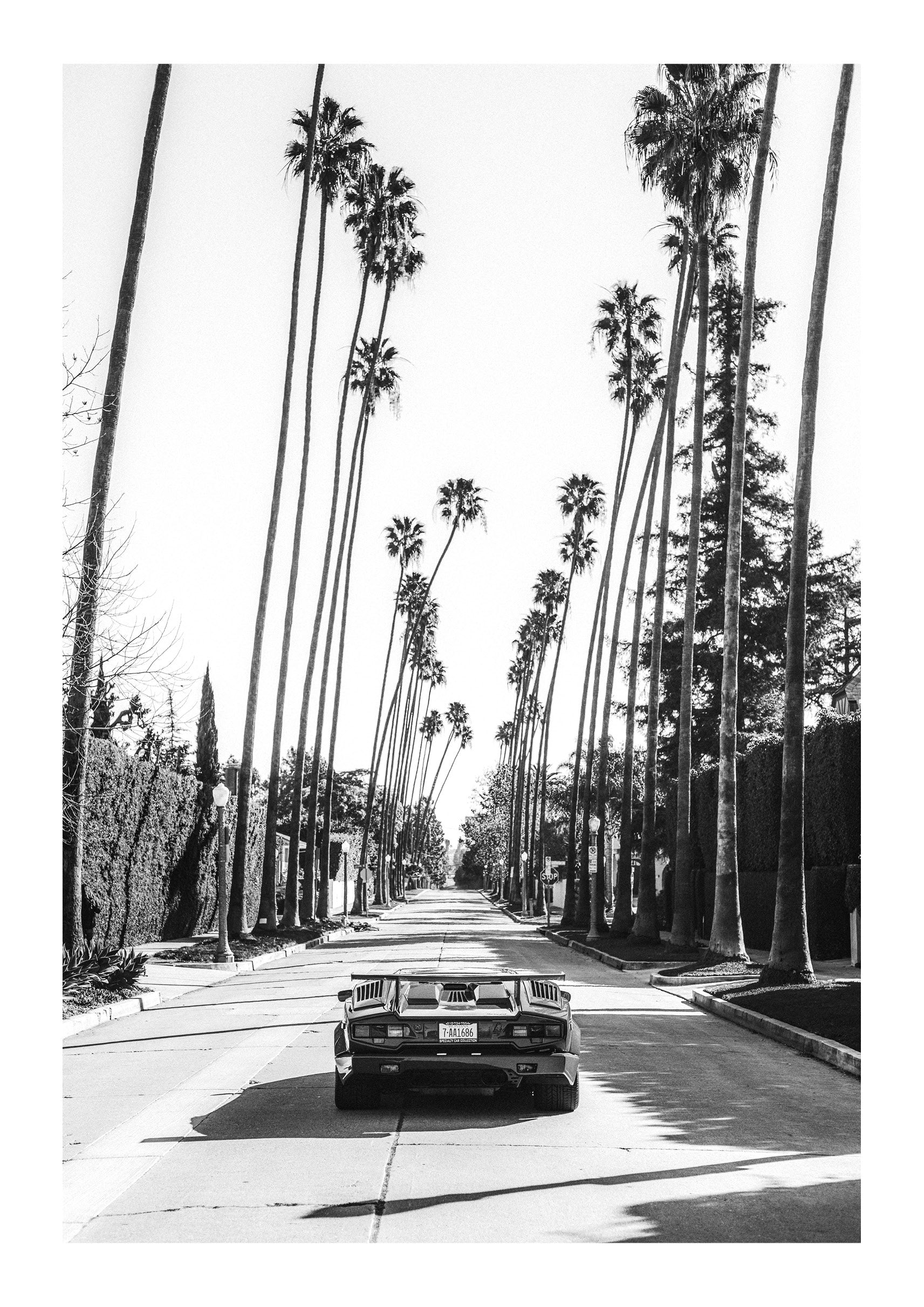 Beverly Hills Perfection