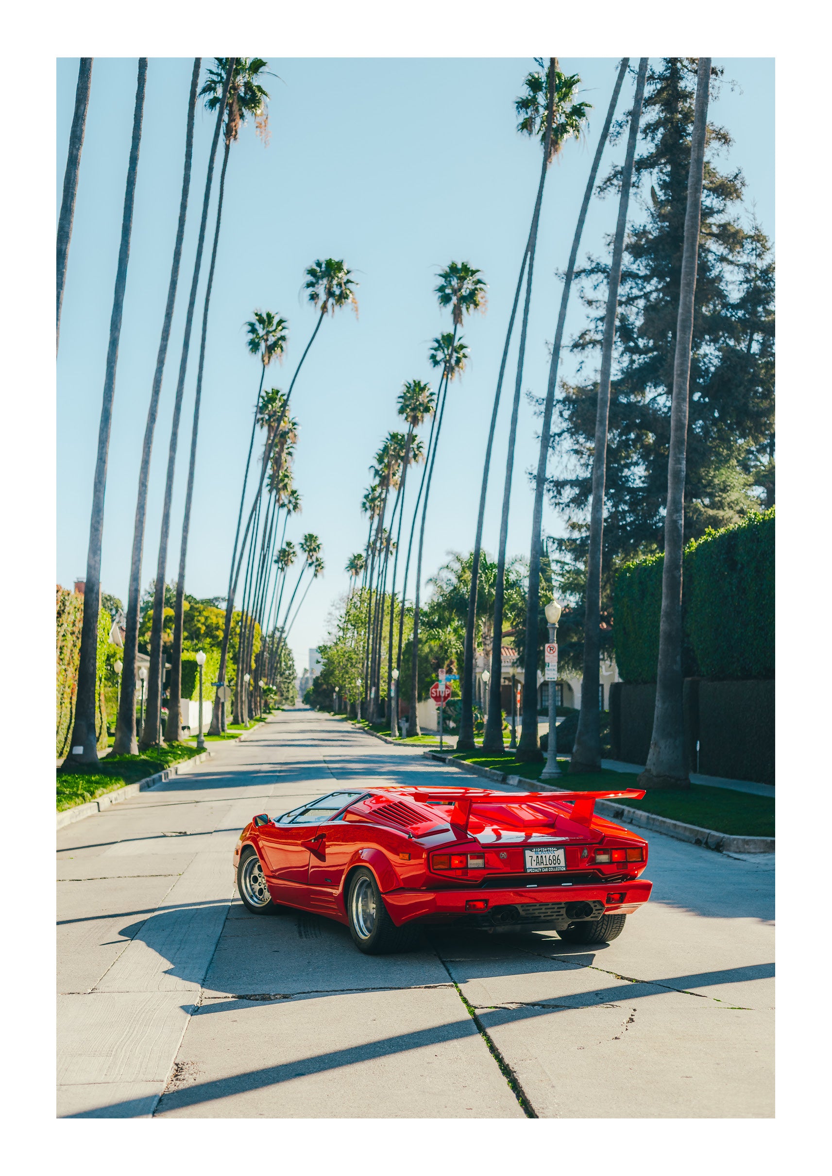 Dream Ride