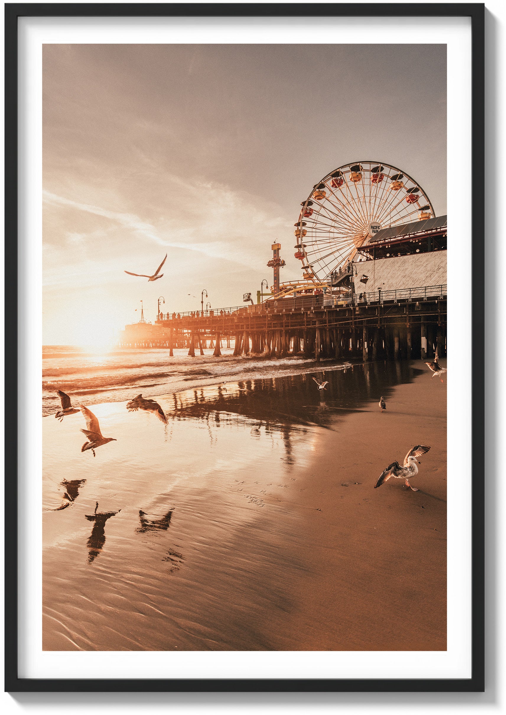 Santa Monica Serenity