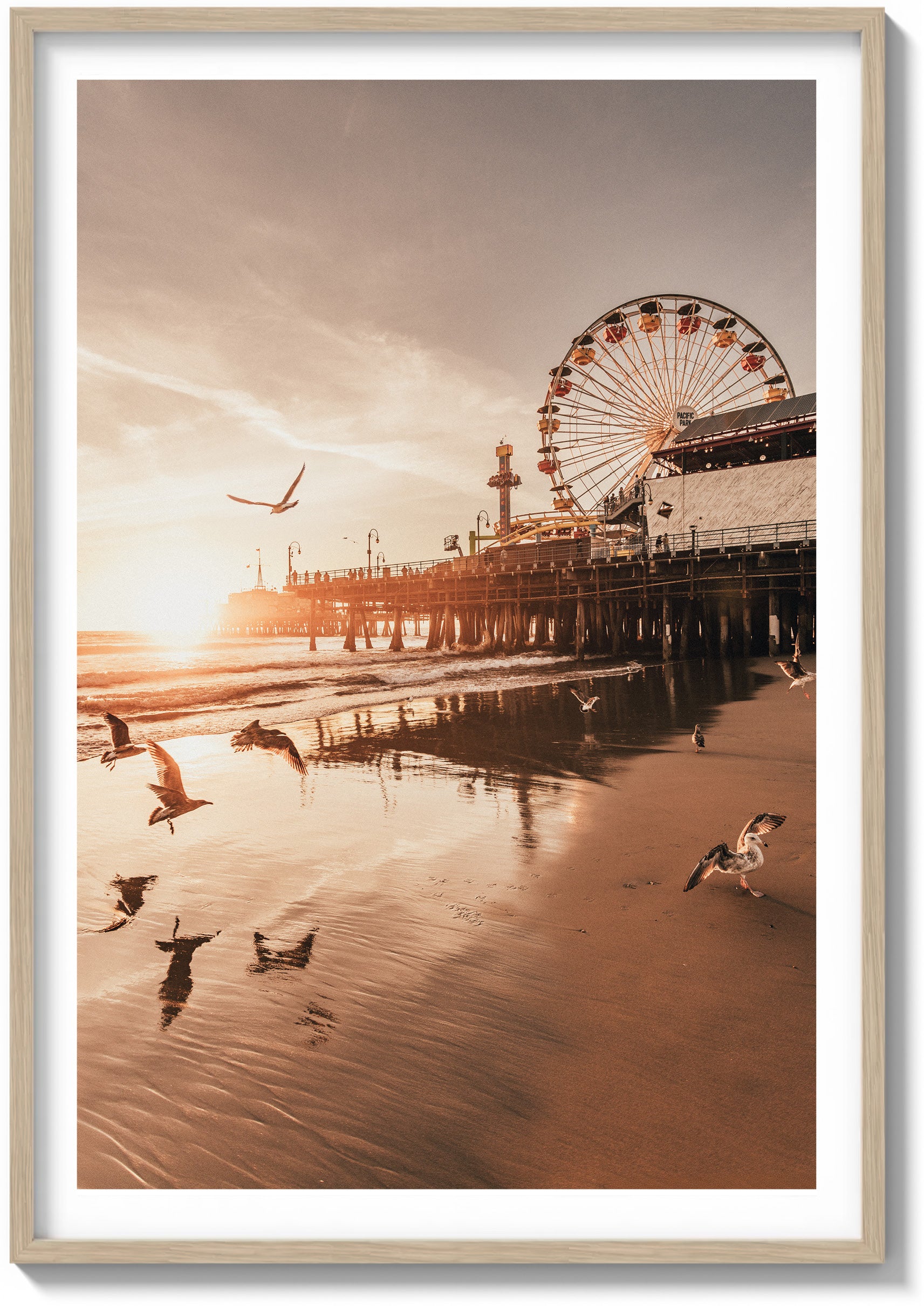 Santa Monica Serenity