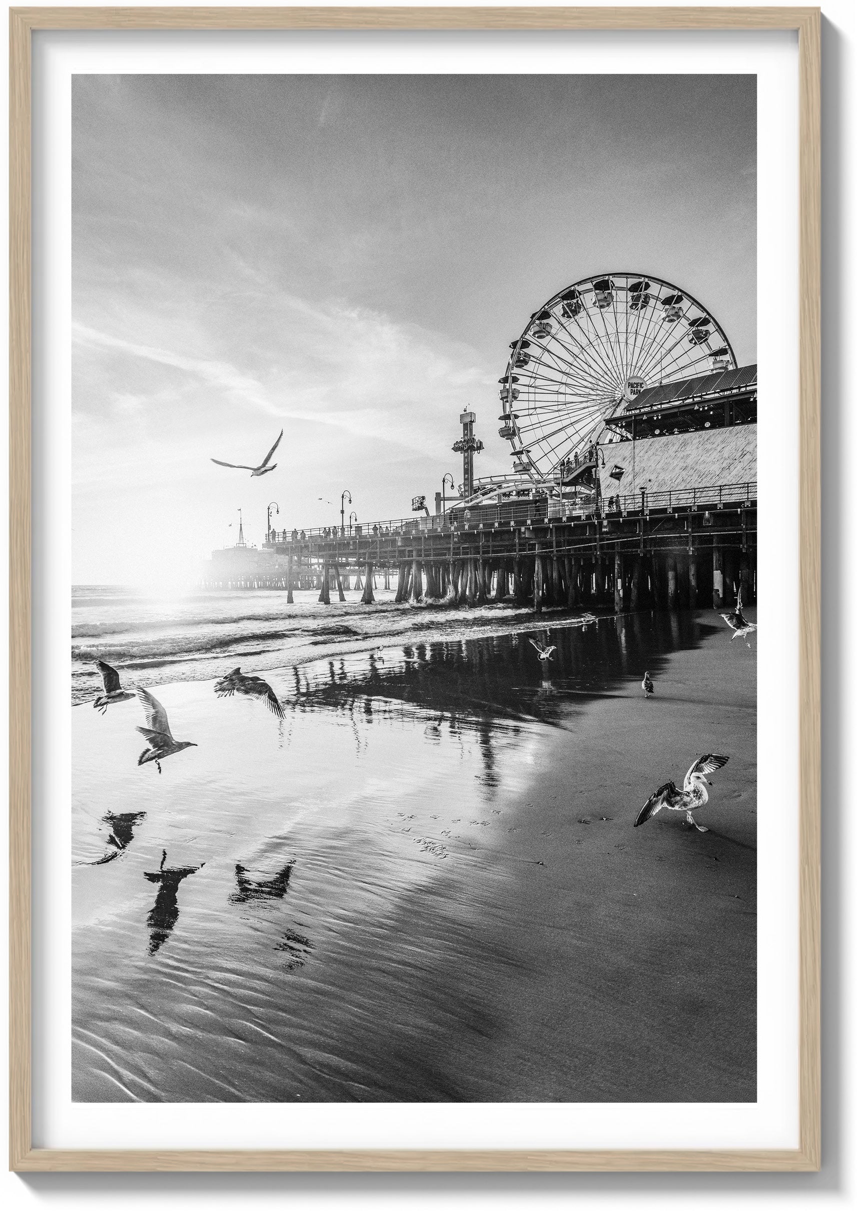 Santa Monica Serenity