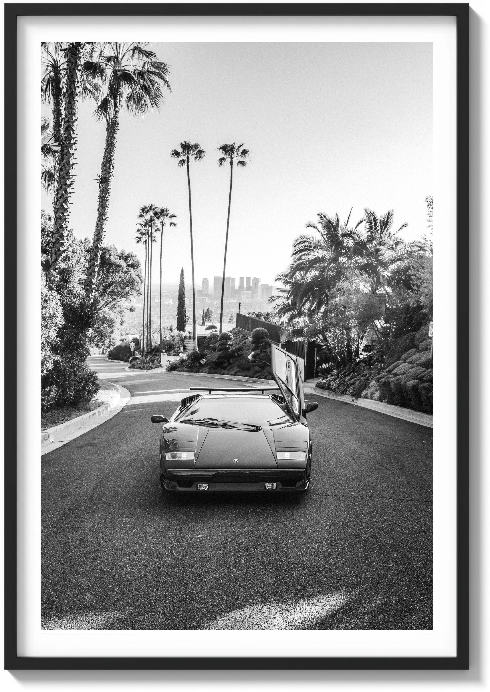 Hollywood Horizon