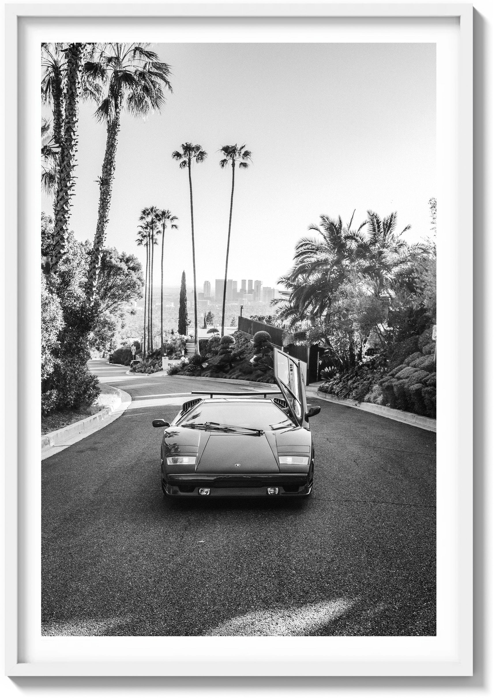 Hollywood Horizon