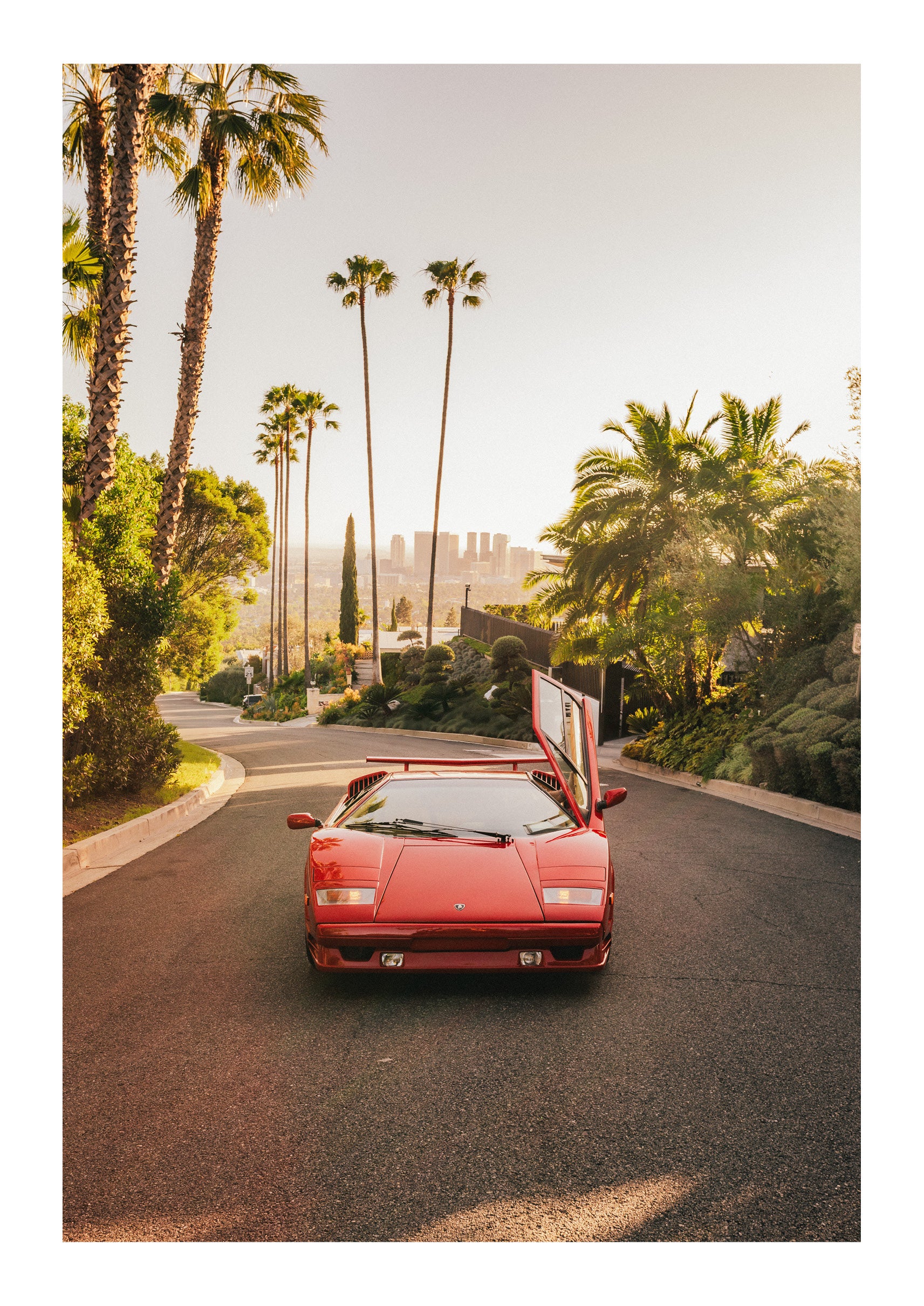 Hollywood Horizon