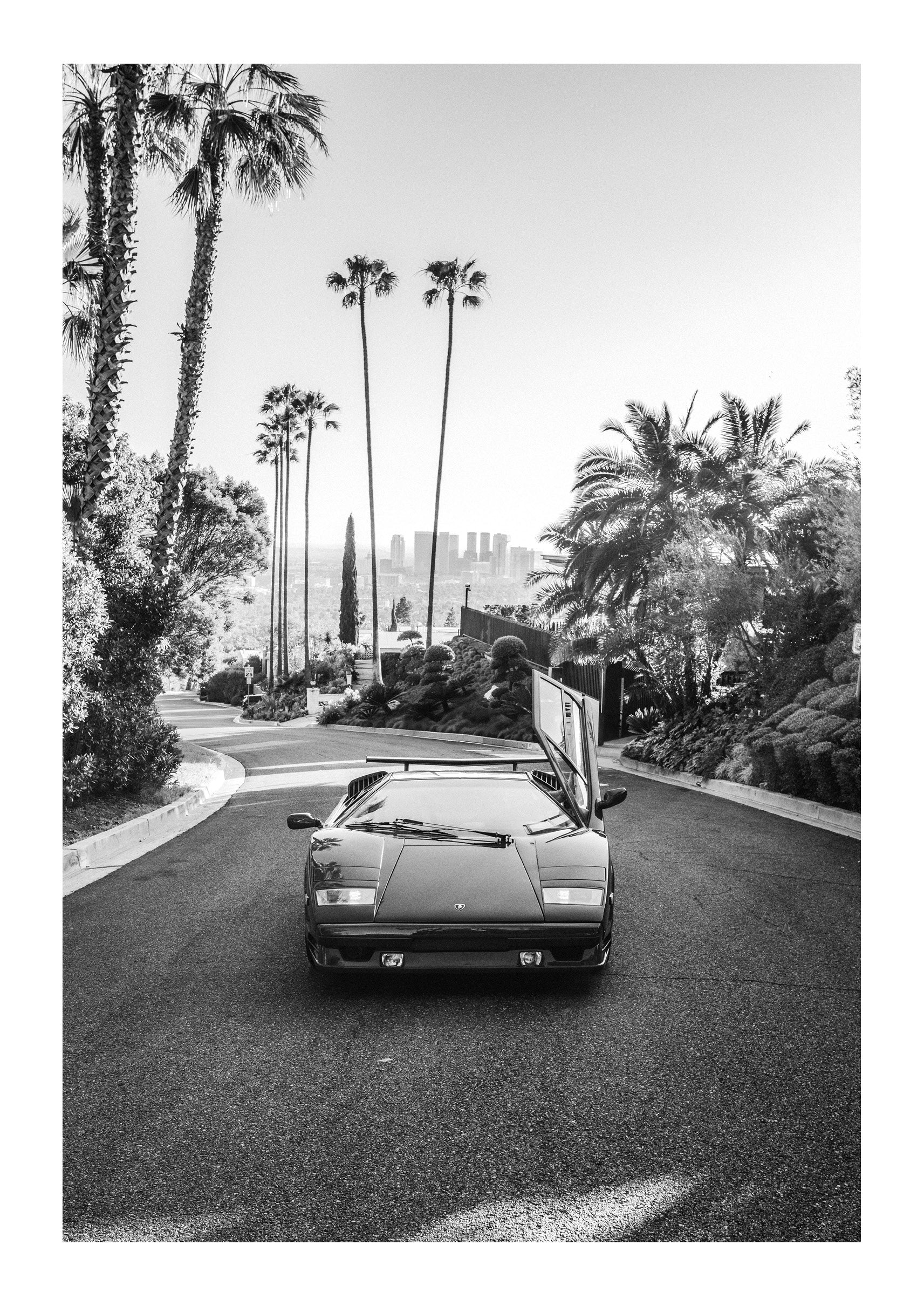 Hollywood Horizon