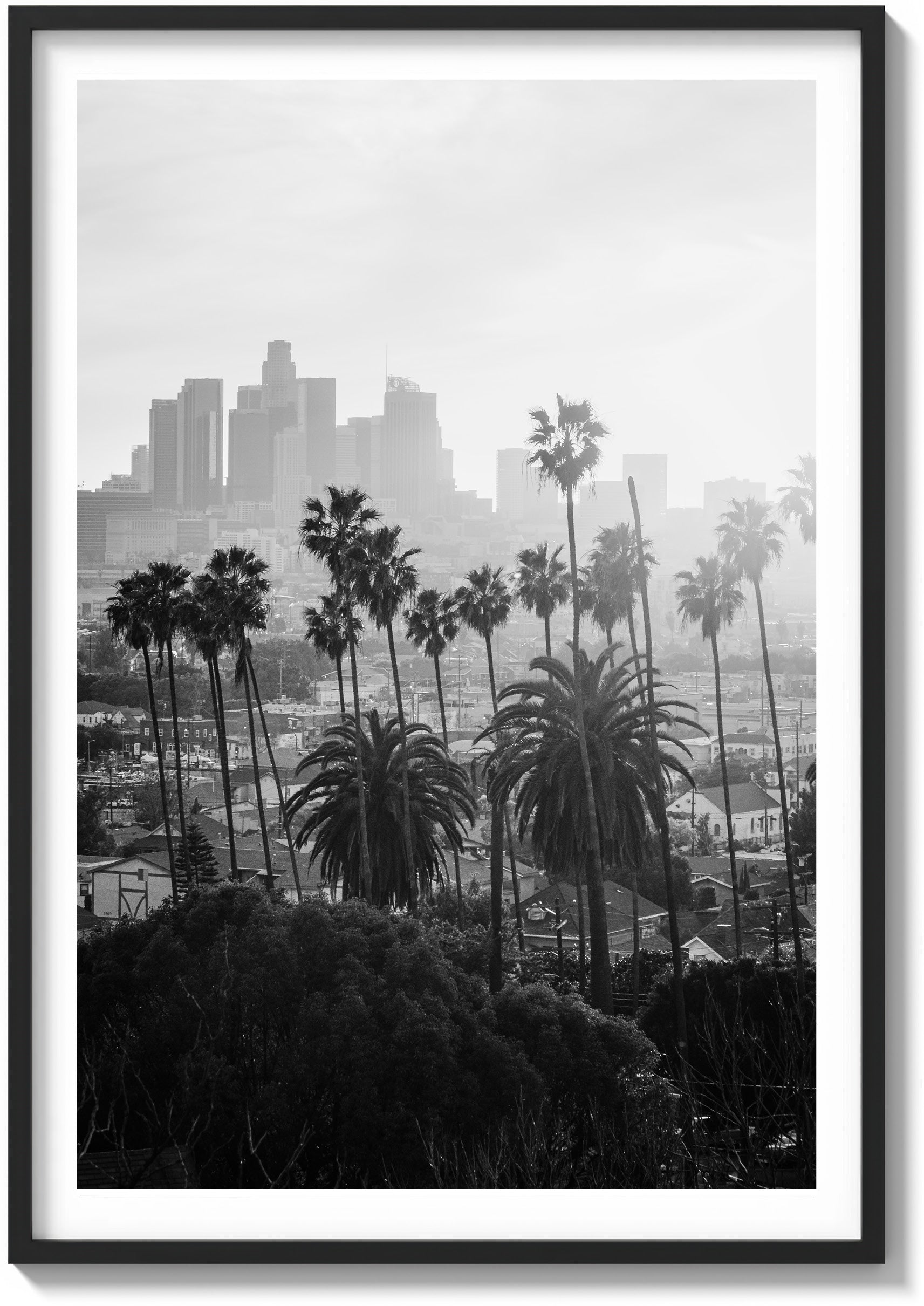 LA Haze