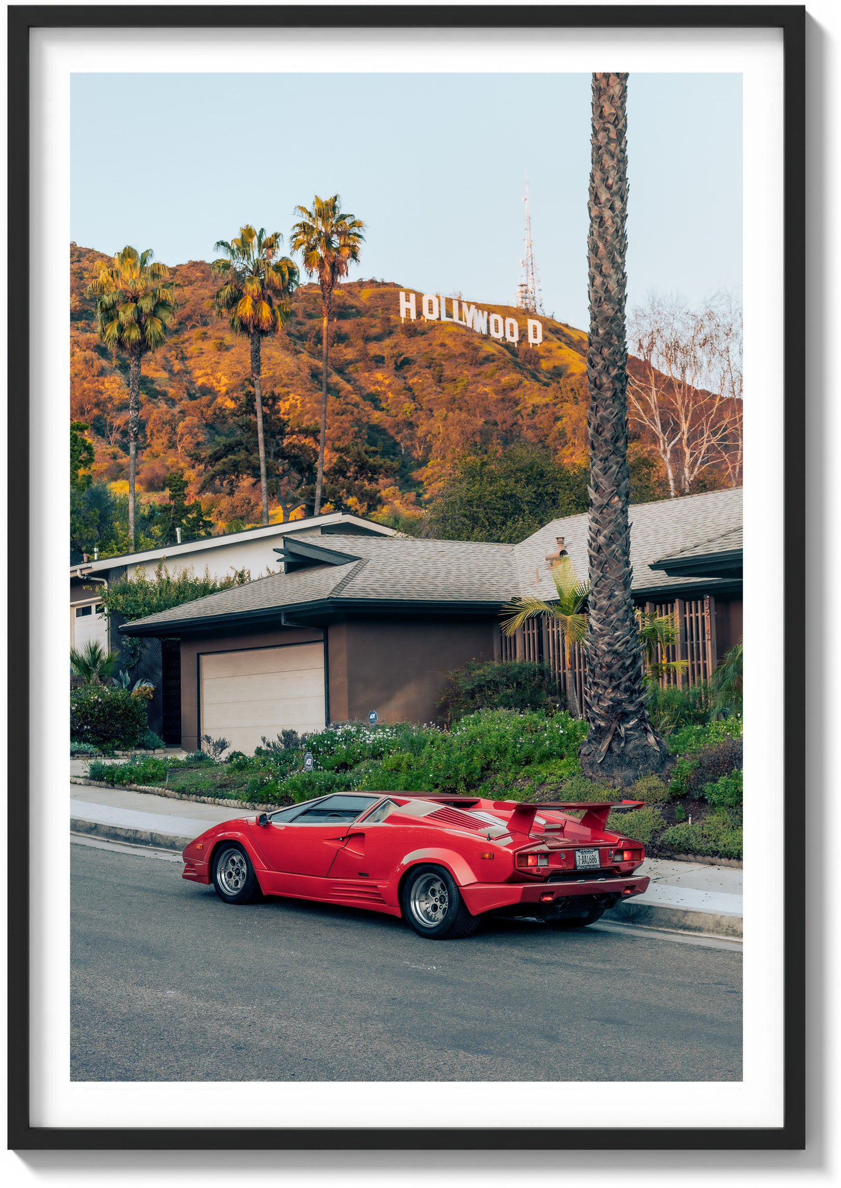 Hollywood Icon